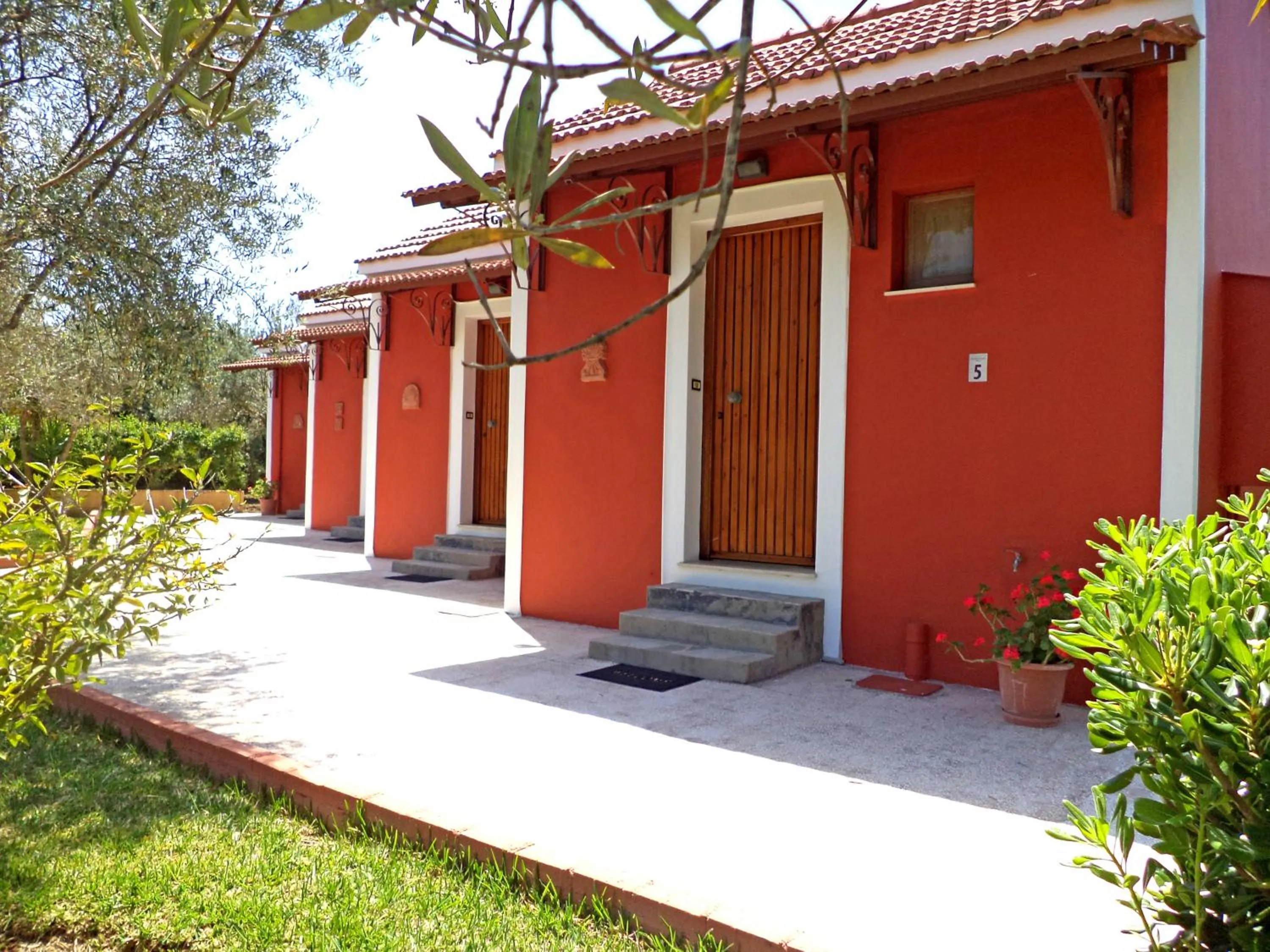 Property building in Dendrolivano