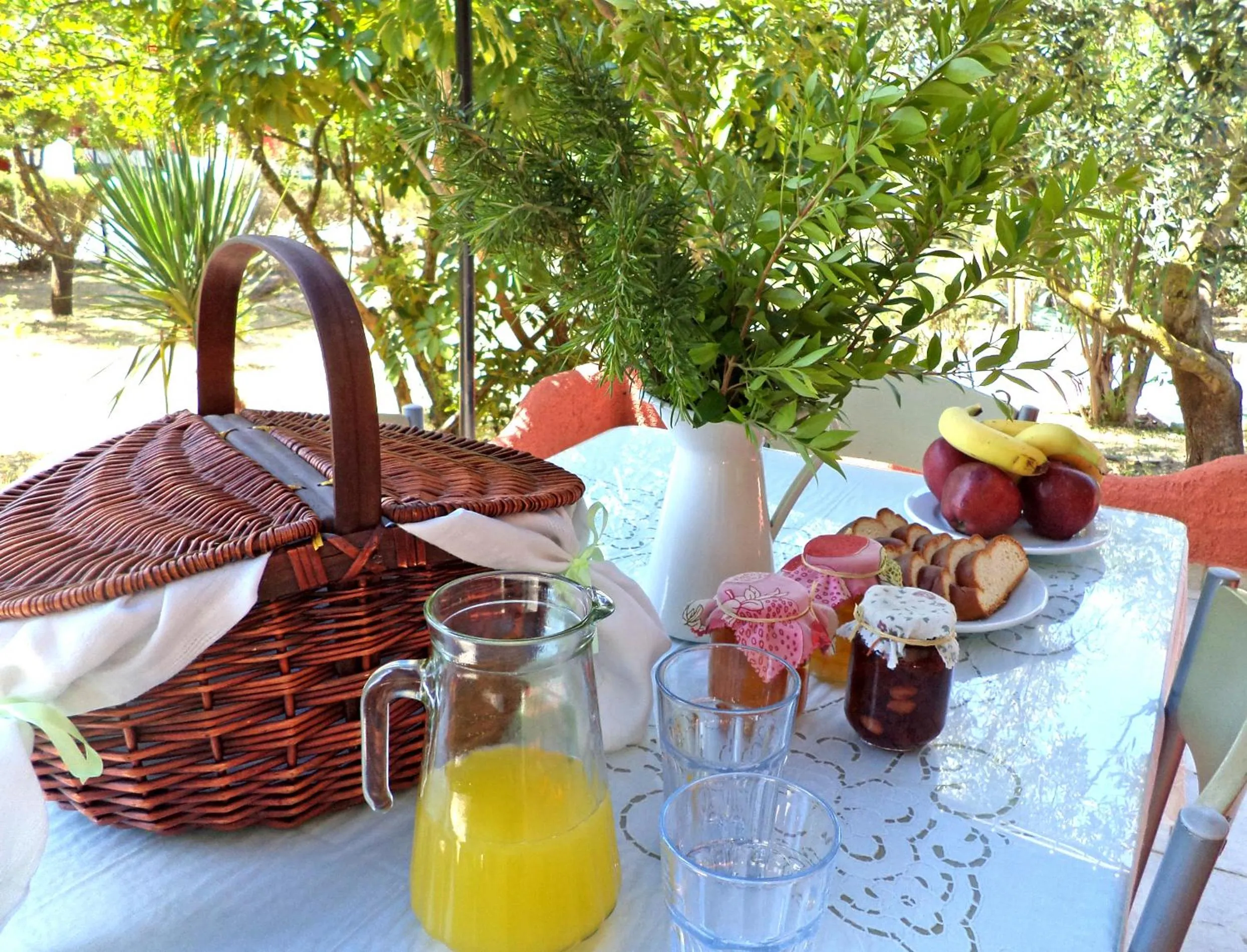 Breakfast in Dendrolivano