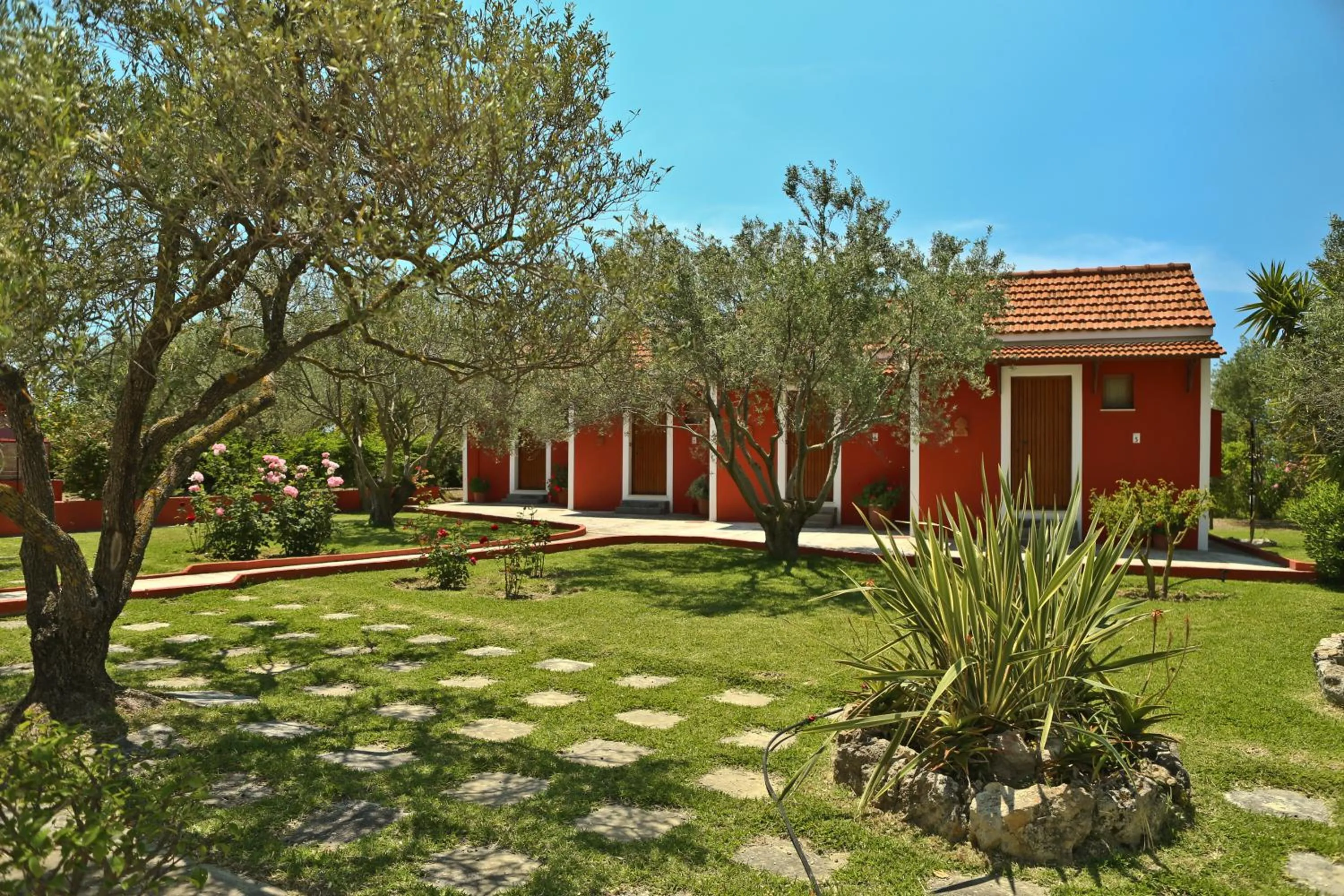 Garden in Dendrolivano