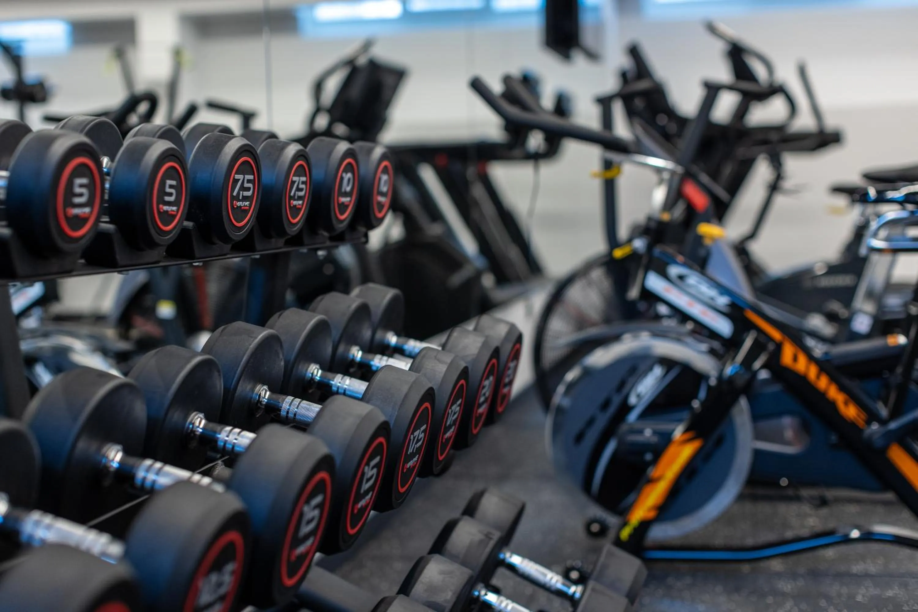 Fitness centre/facilities in Hotel Afonso V & SPA