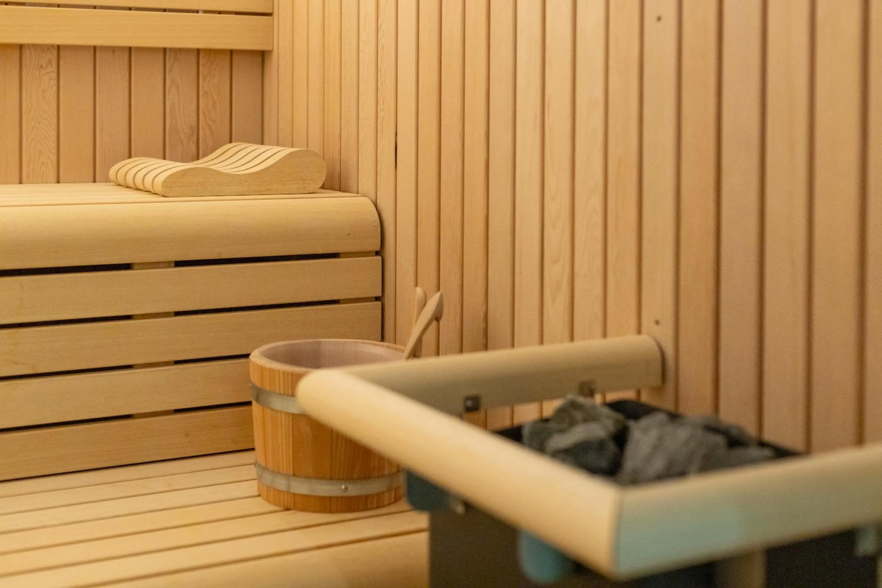 Sauna in Hotel Afonso V & SPA