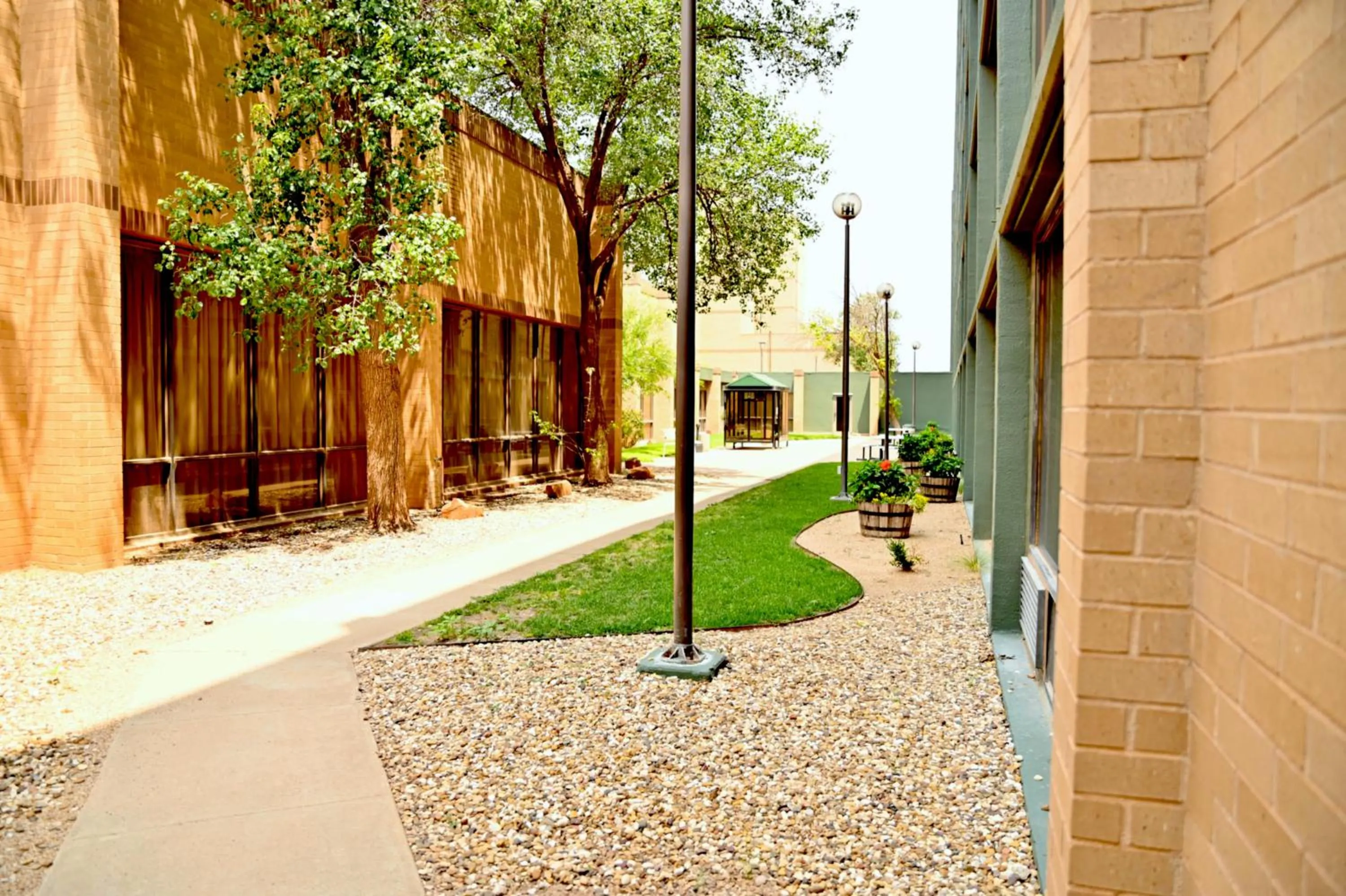 Property building in MCM Elegante Hotel & Suites Lubbock