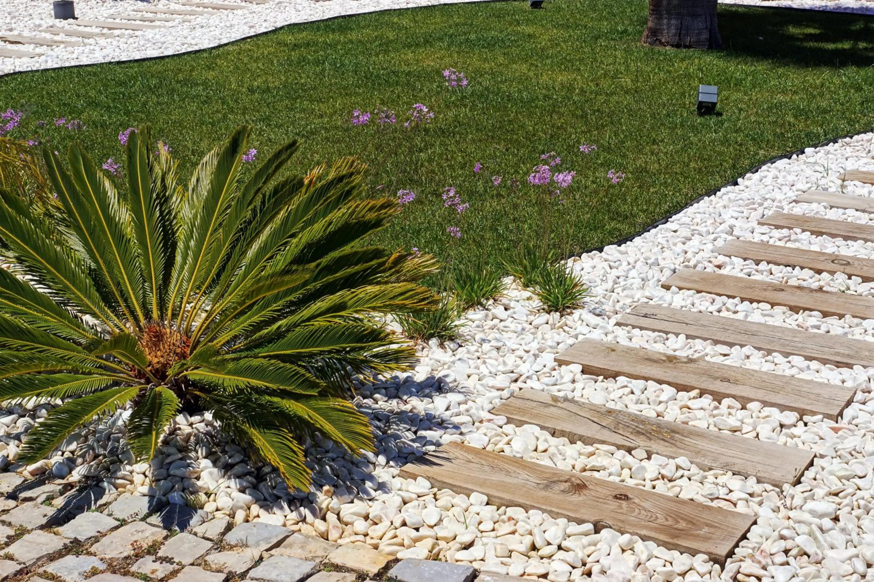 Property building in Zodiaco