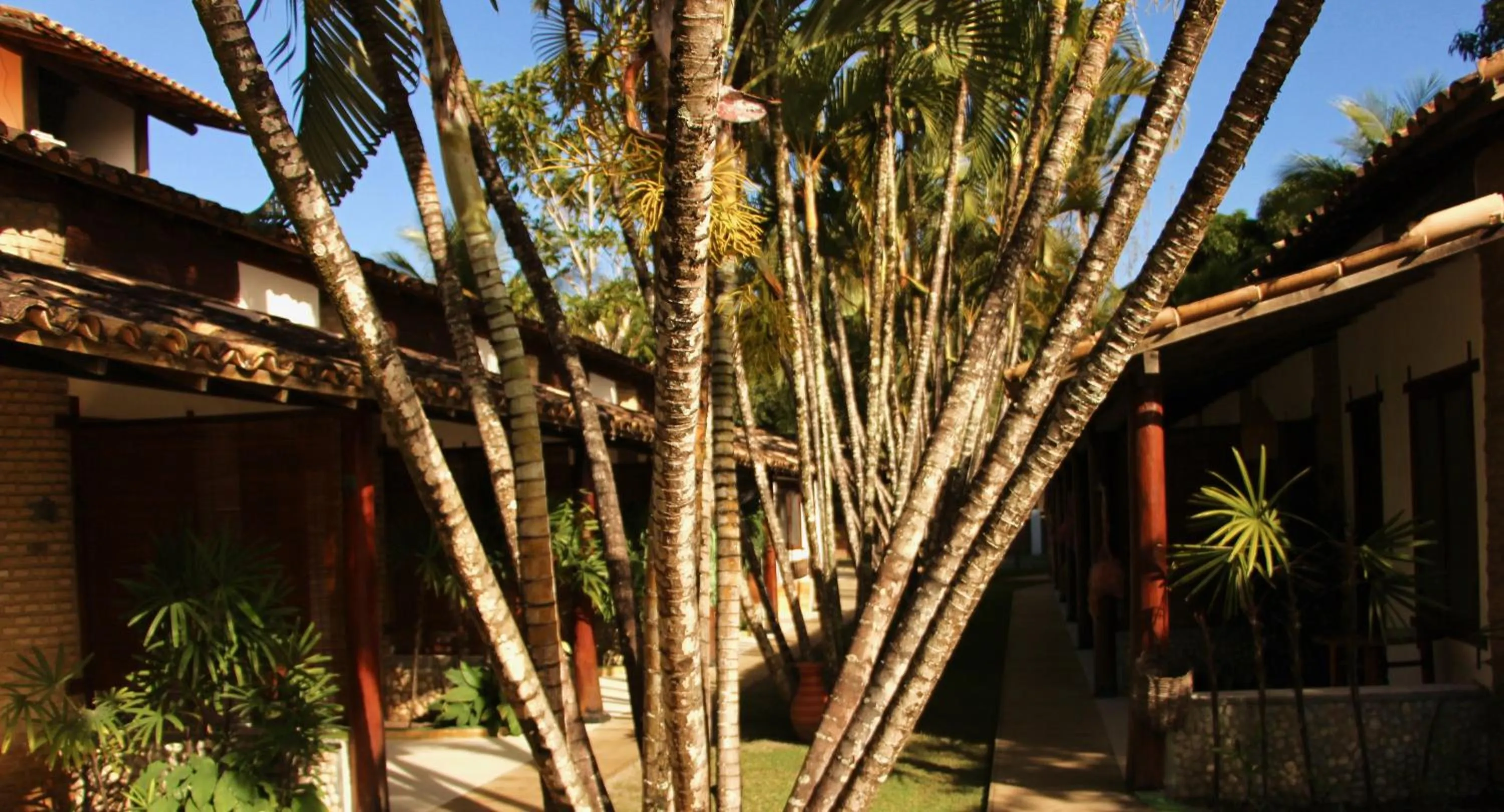 Garden in Pousada El Capitan