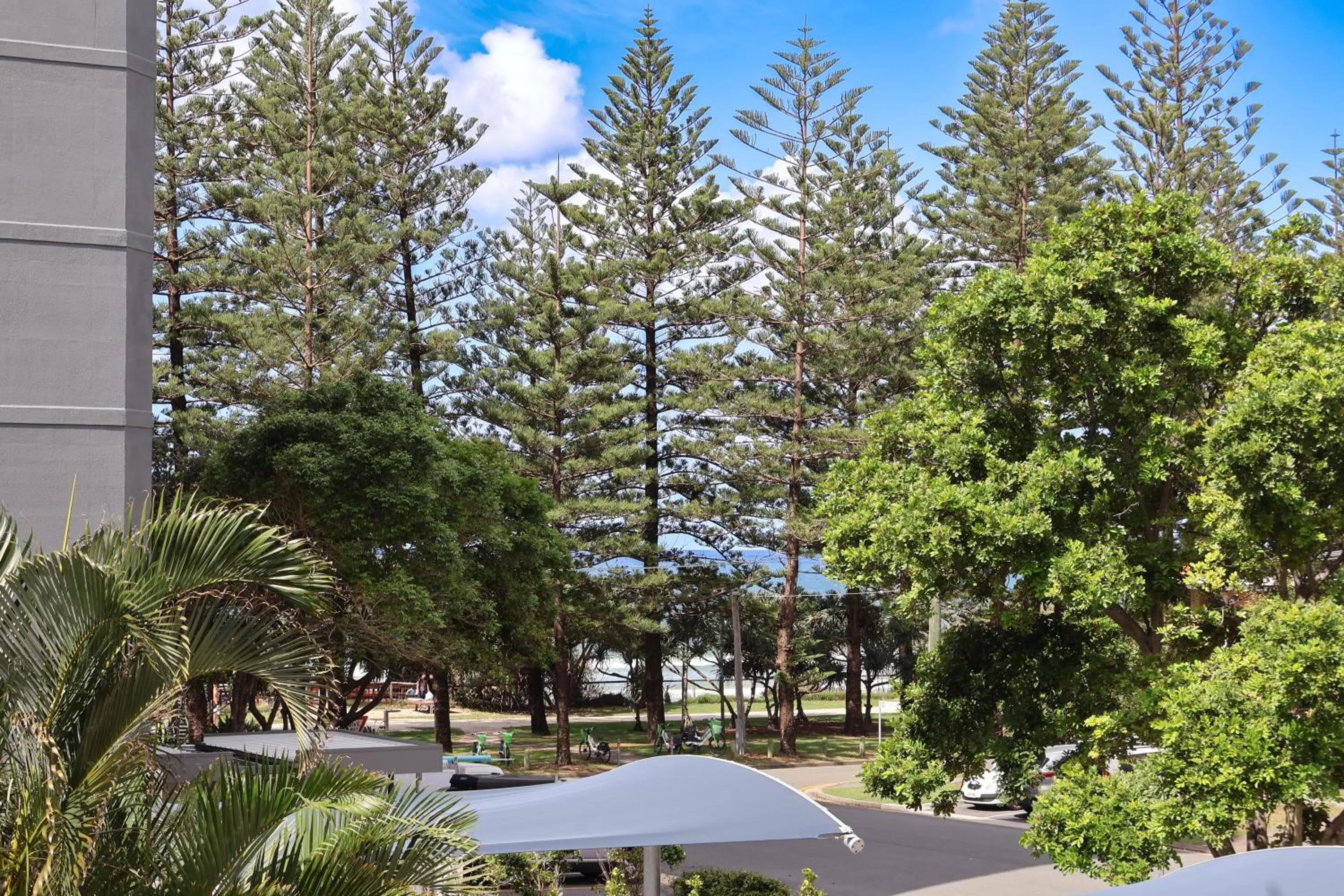 Garden view in Burleigh on the Beach