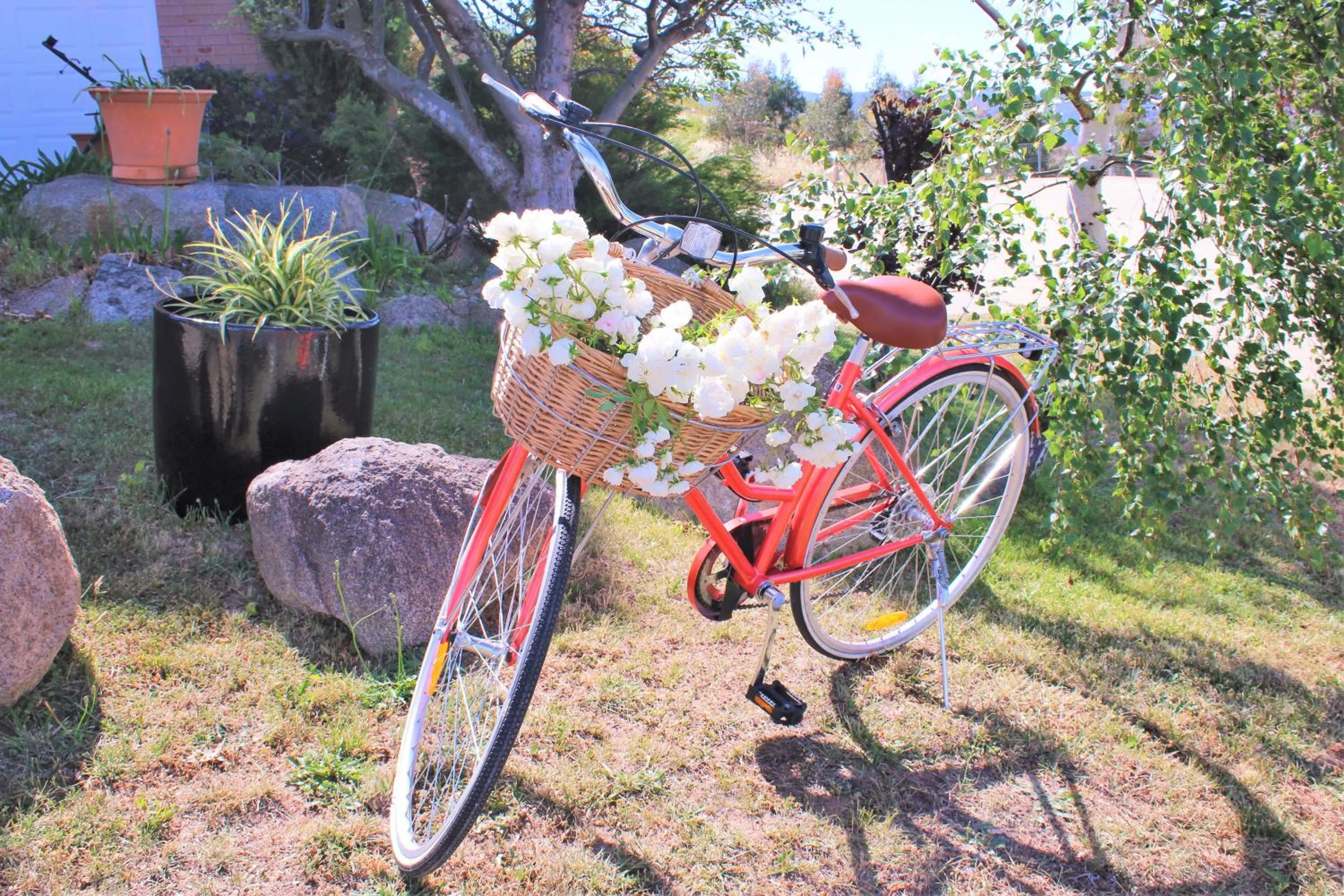 Cycling in Panorama Jindabyne