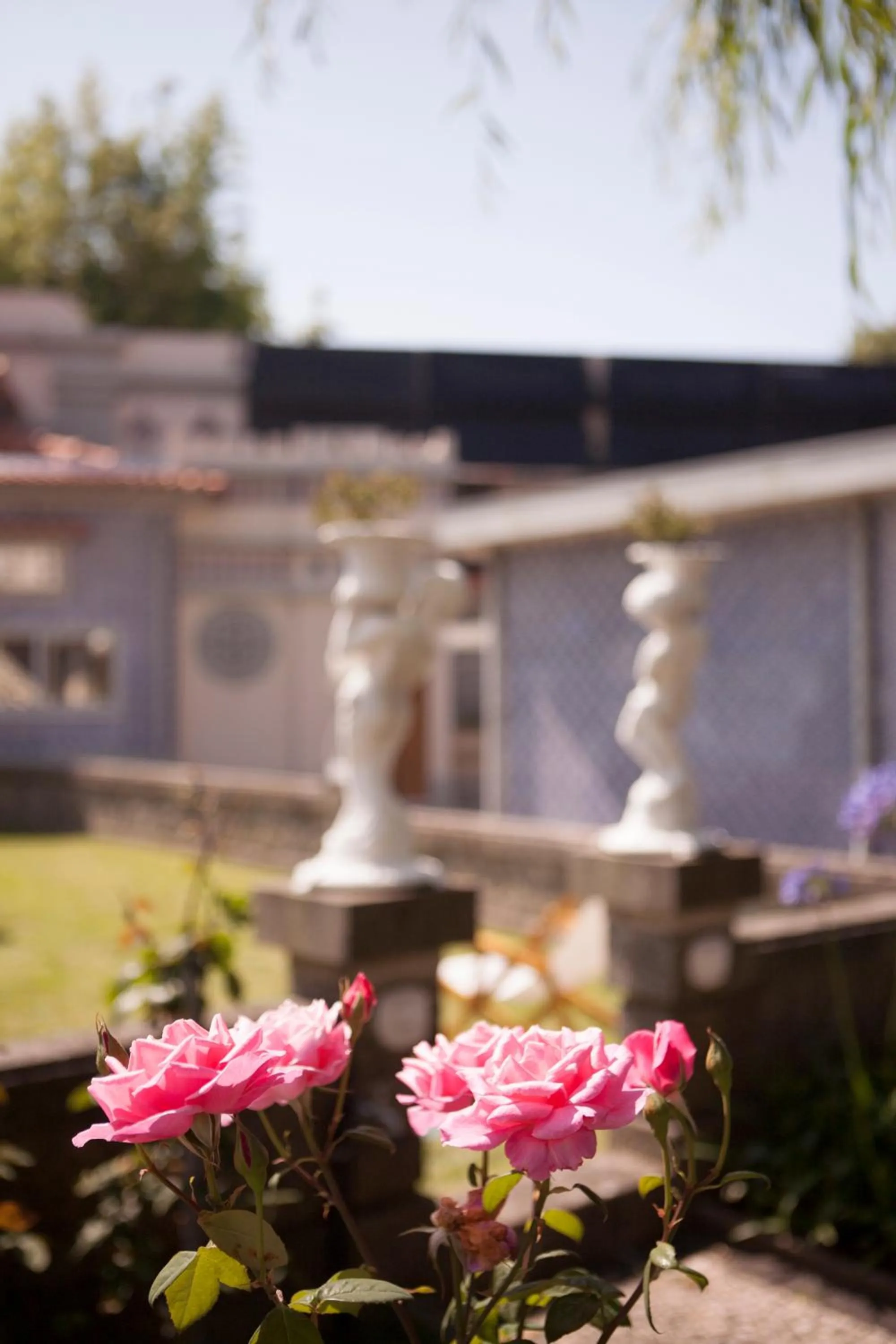 Garden in Castelo Santa Catarina