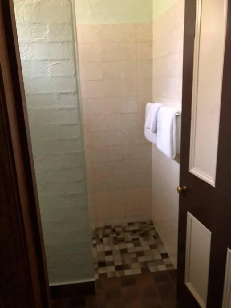 Shower, Bathroom in Olde Horsham Motor Inn