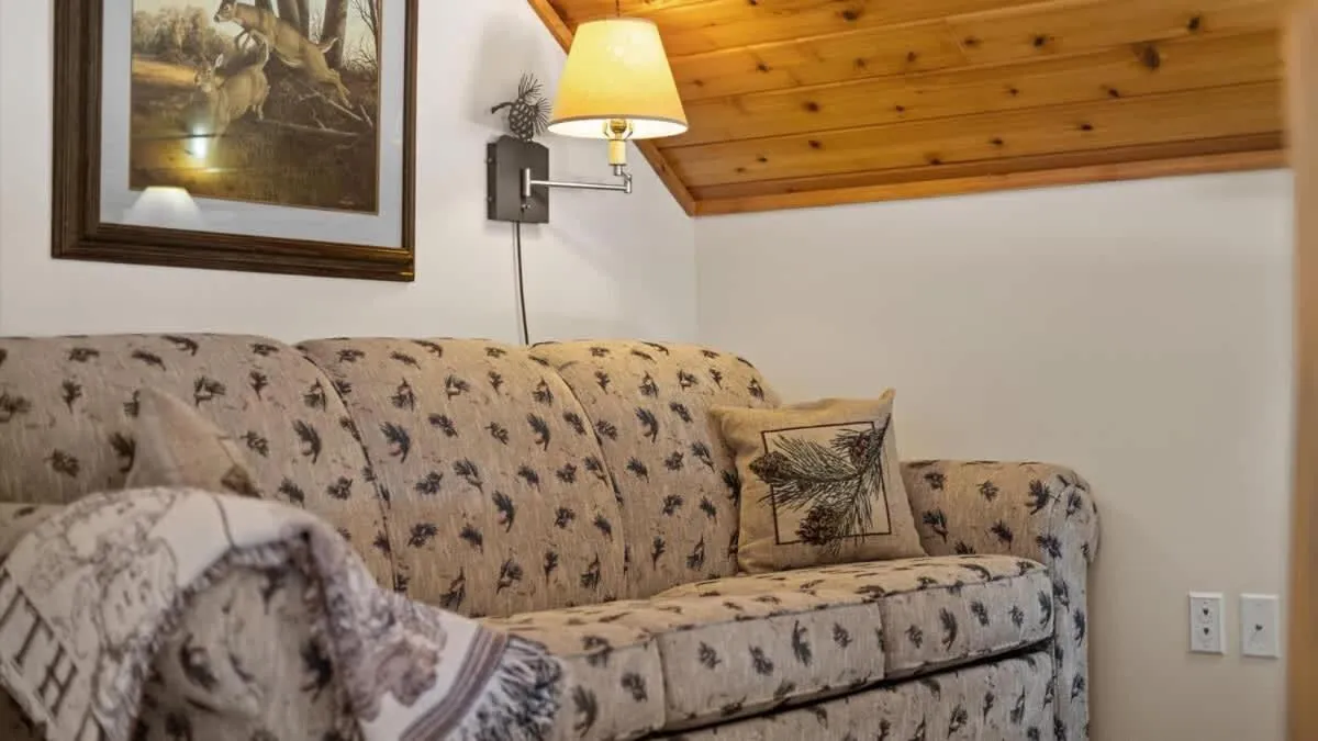 Mountain View Tee and Ski