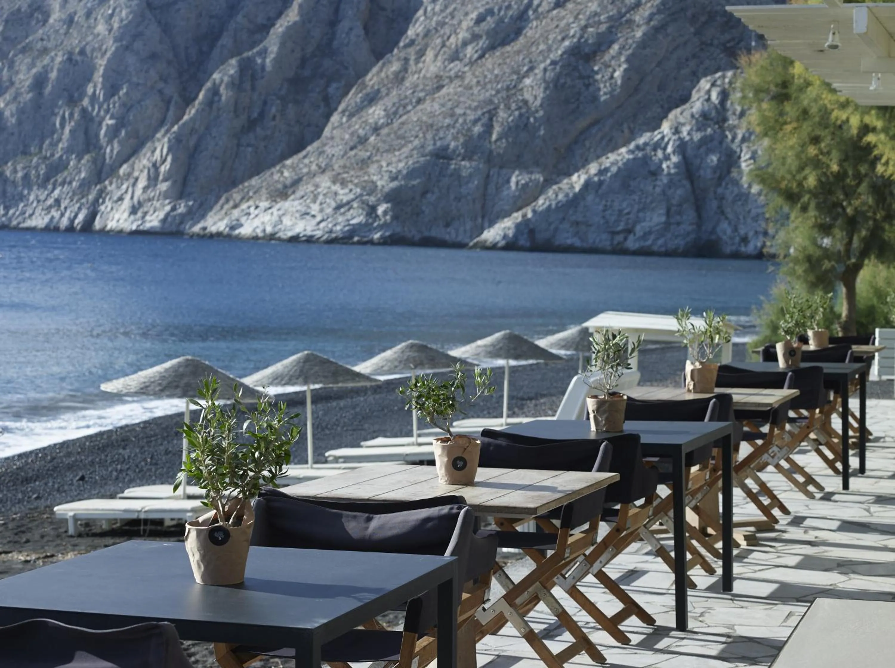 Restaurant/places to eat in Bellonias Villas