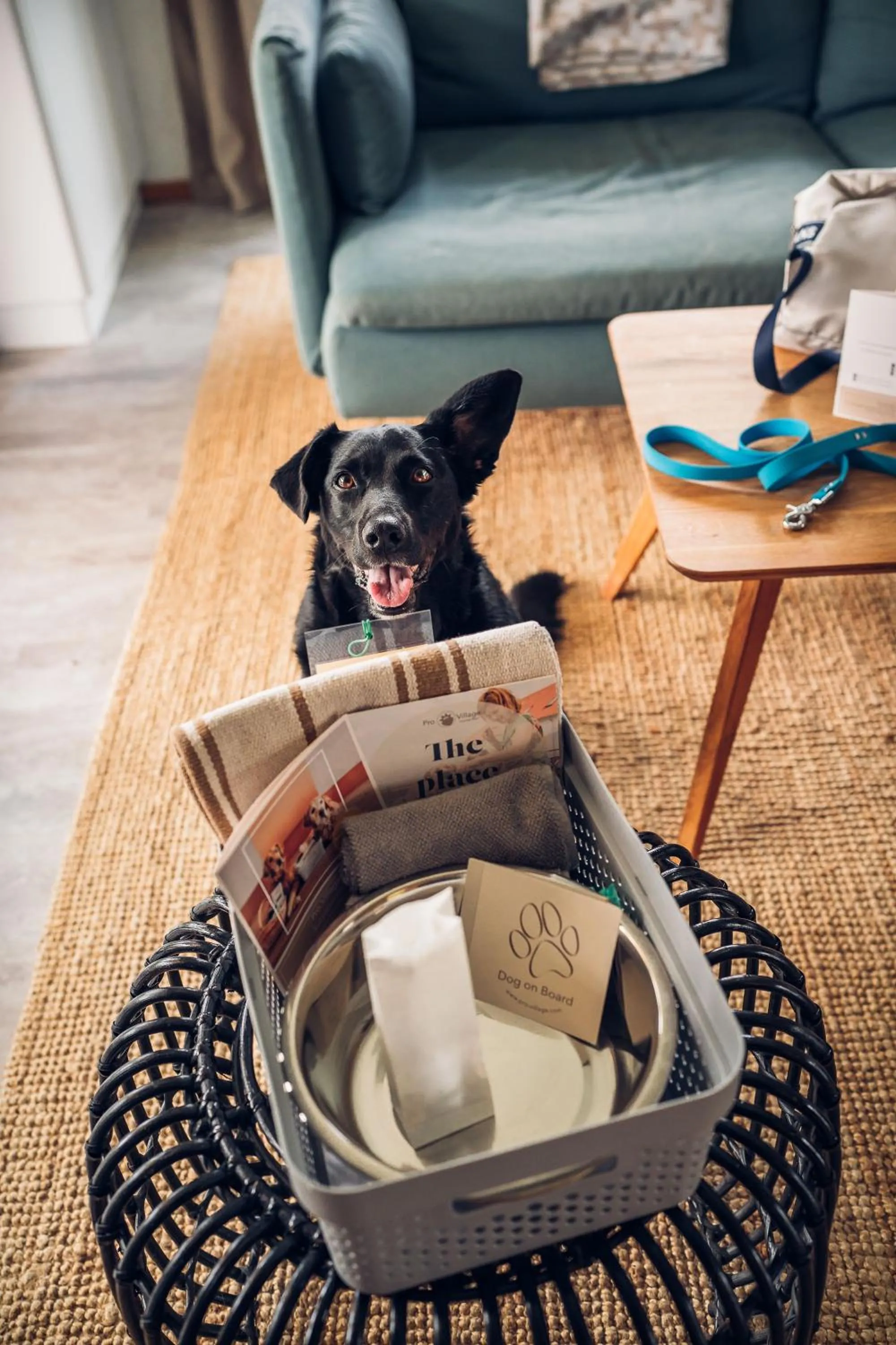 Property building in Chalets Franciska Major, Pro Village