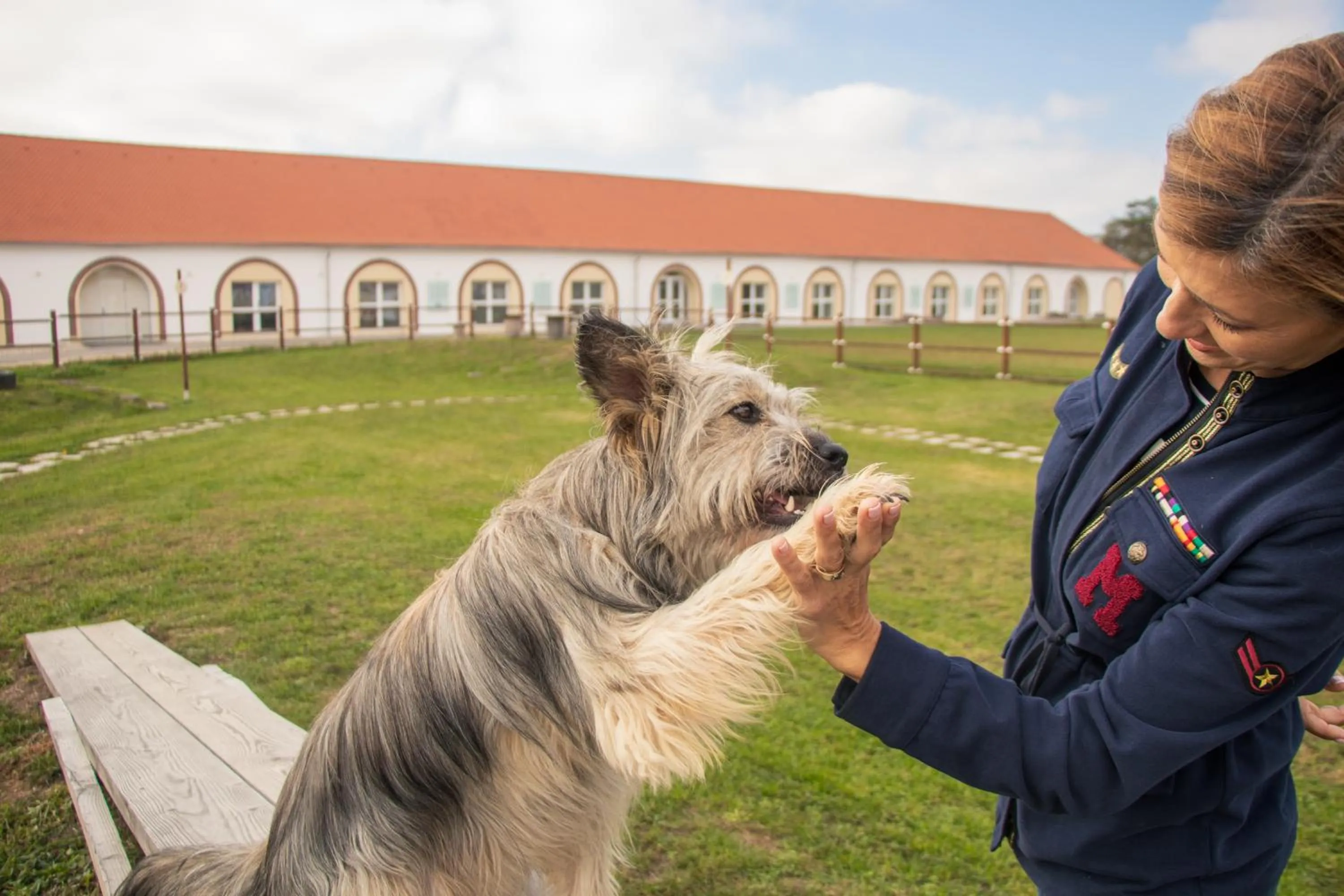 Animals in Chalets Franciska Major, Pro Village