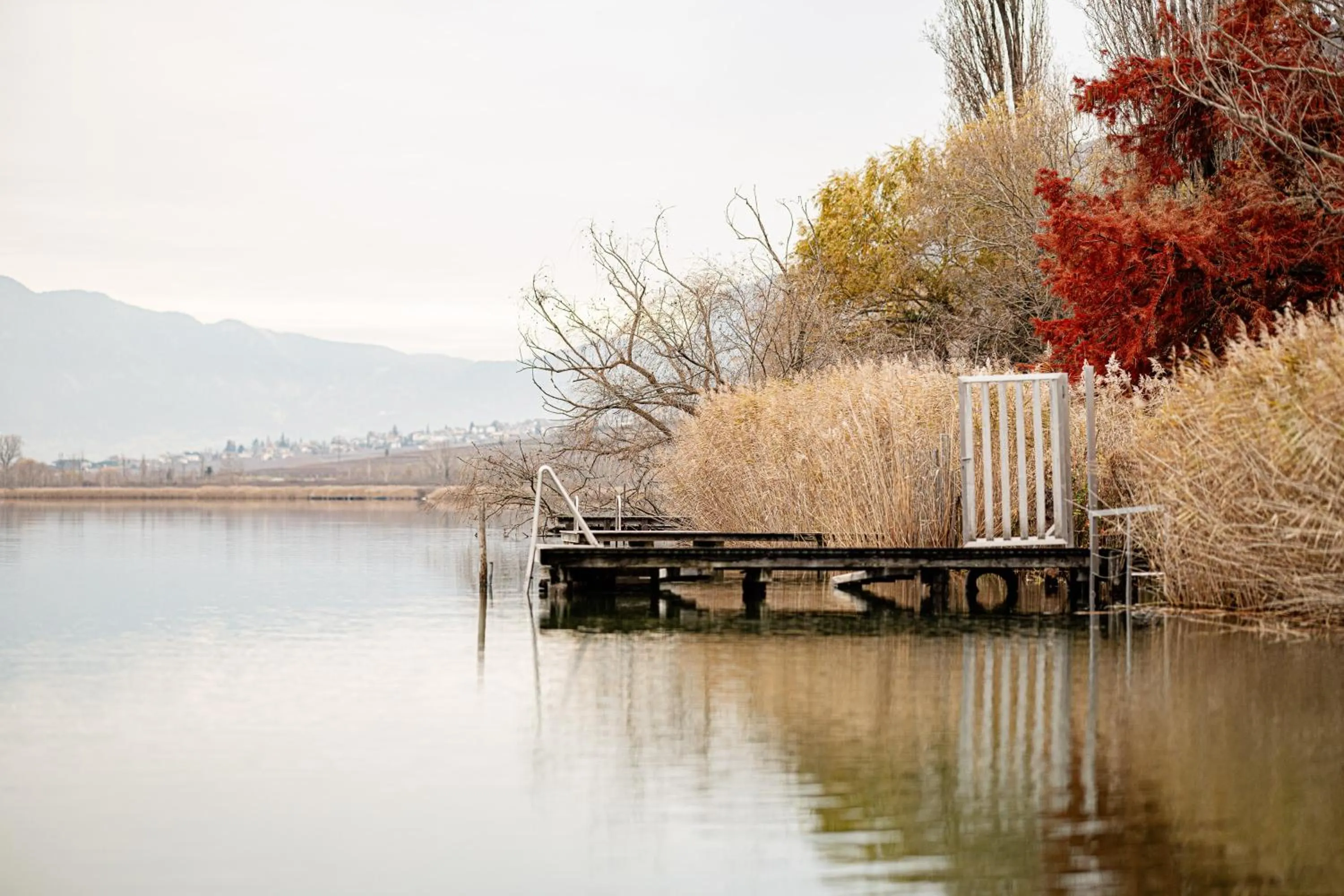 Lake view in Lake Spa Hotel SEELEITEN