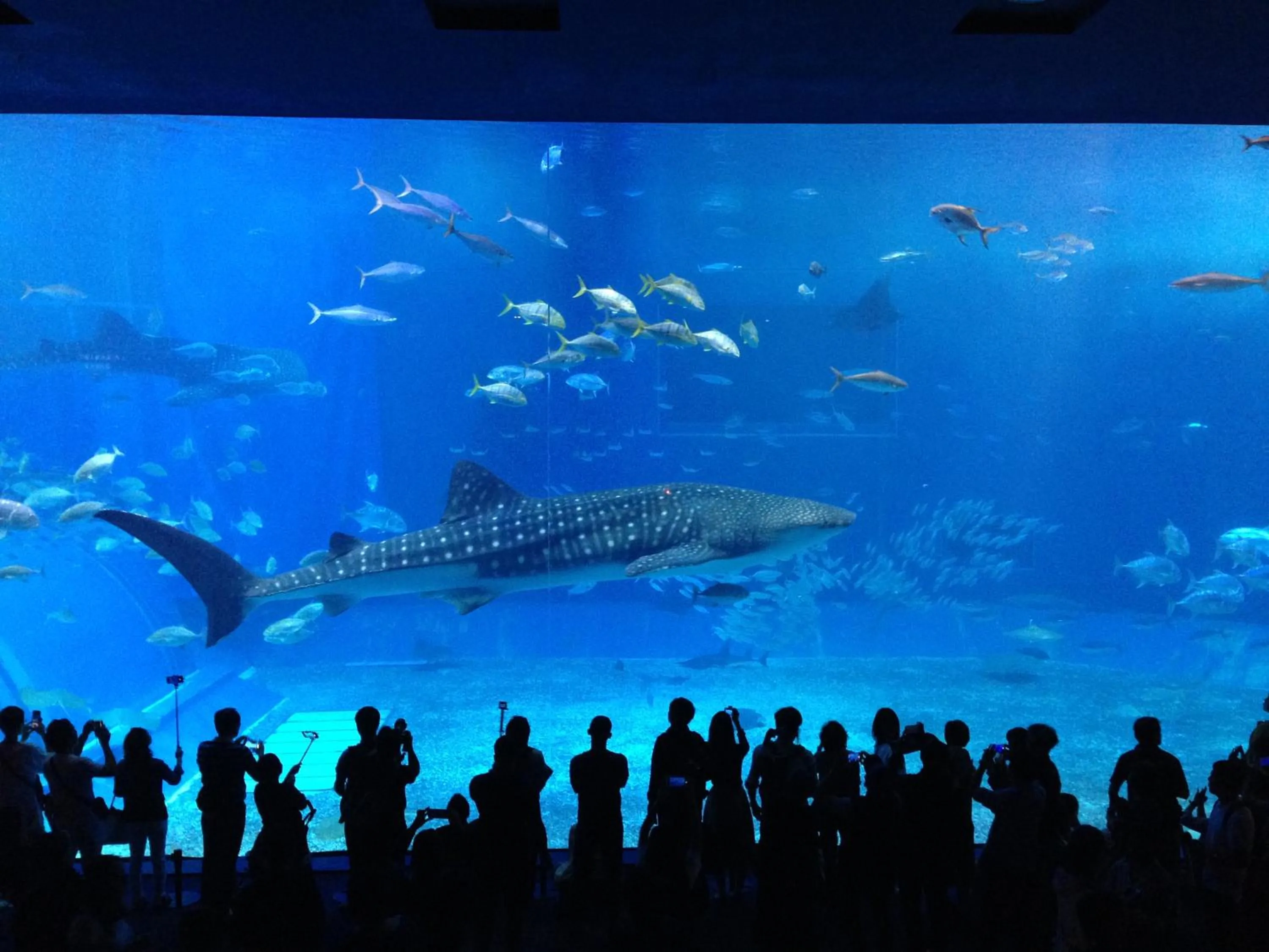 Nearby landmark in Bougain Terrace Resort Ta-chi House