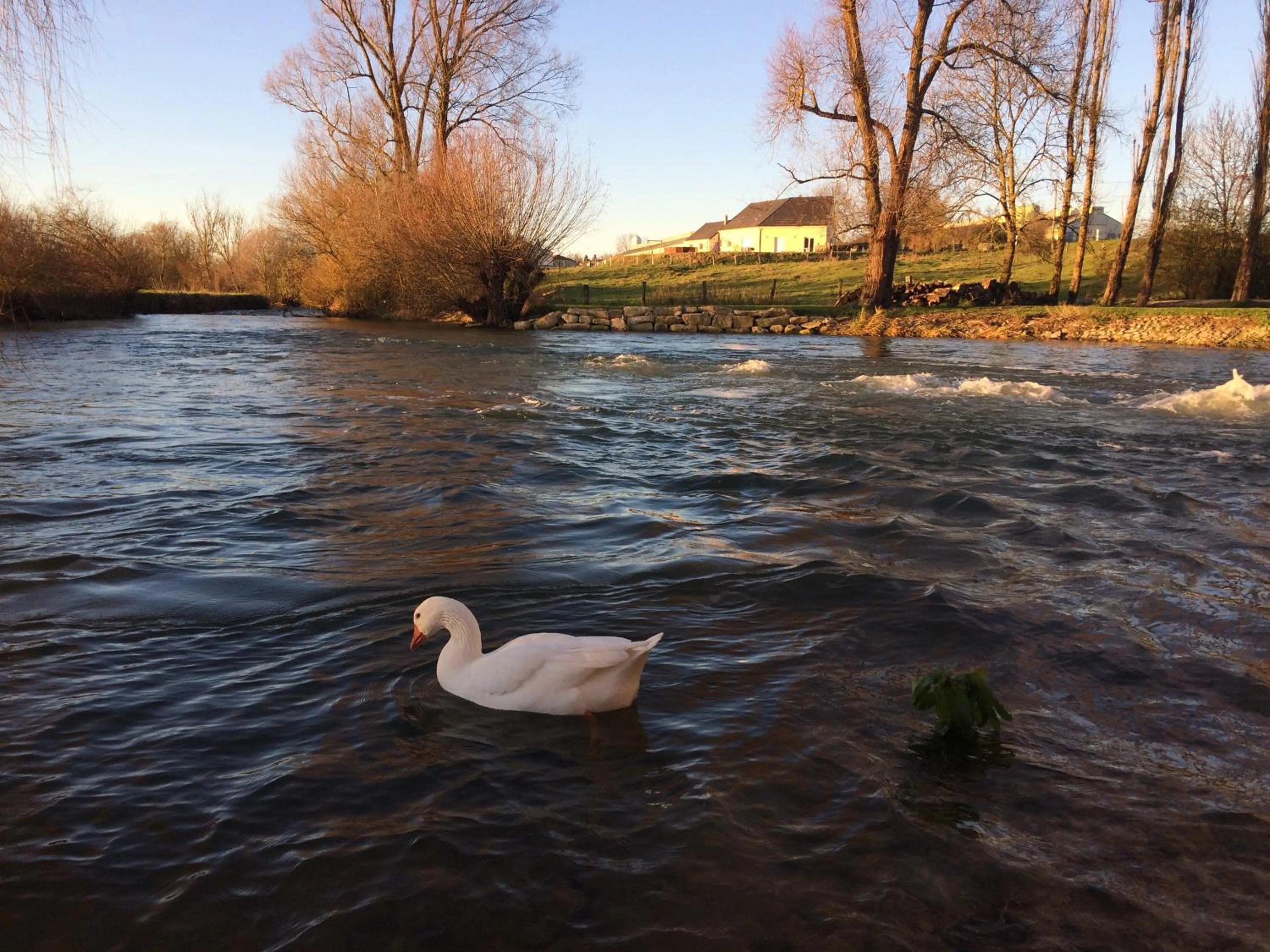 Property building in LOGIS Hôtel Le Chantoiseau