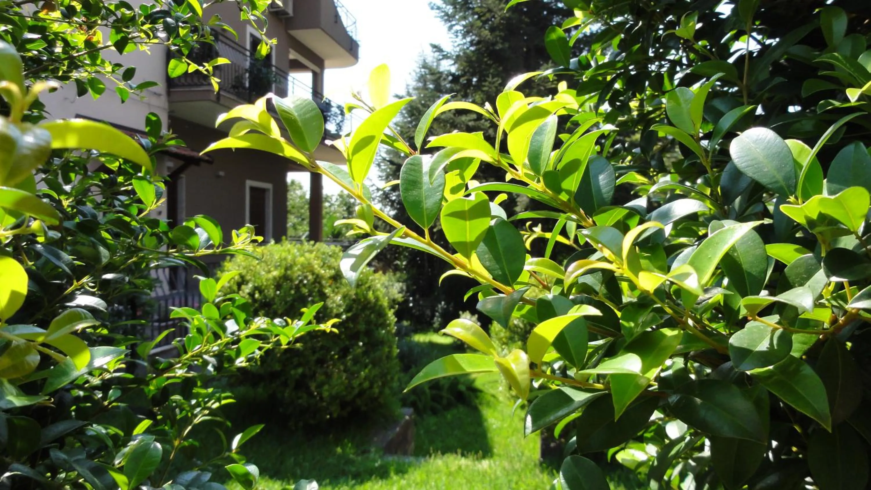 Property building in Etna Sunrise b&b