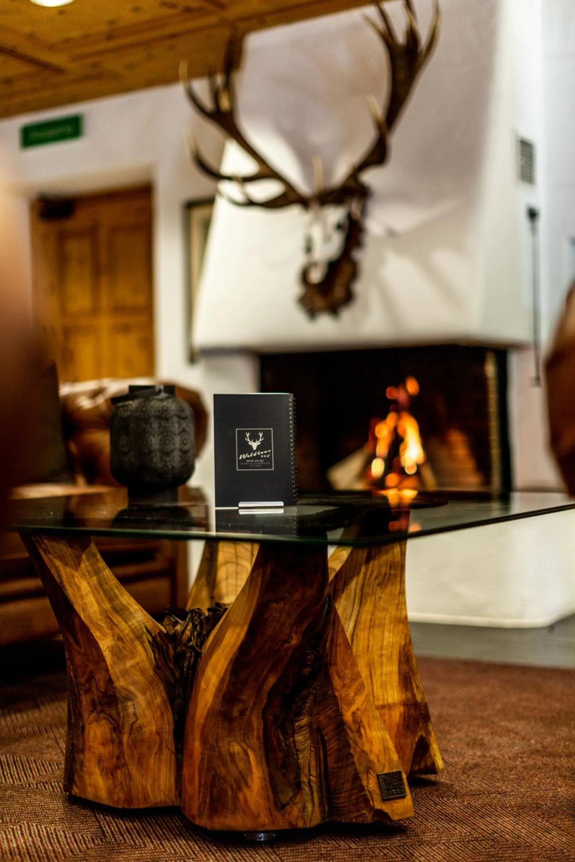 Hotel Waldhaus am See