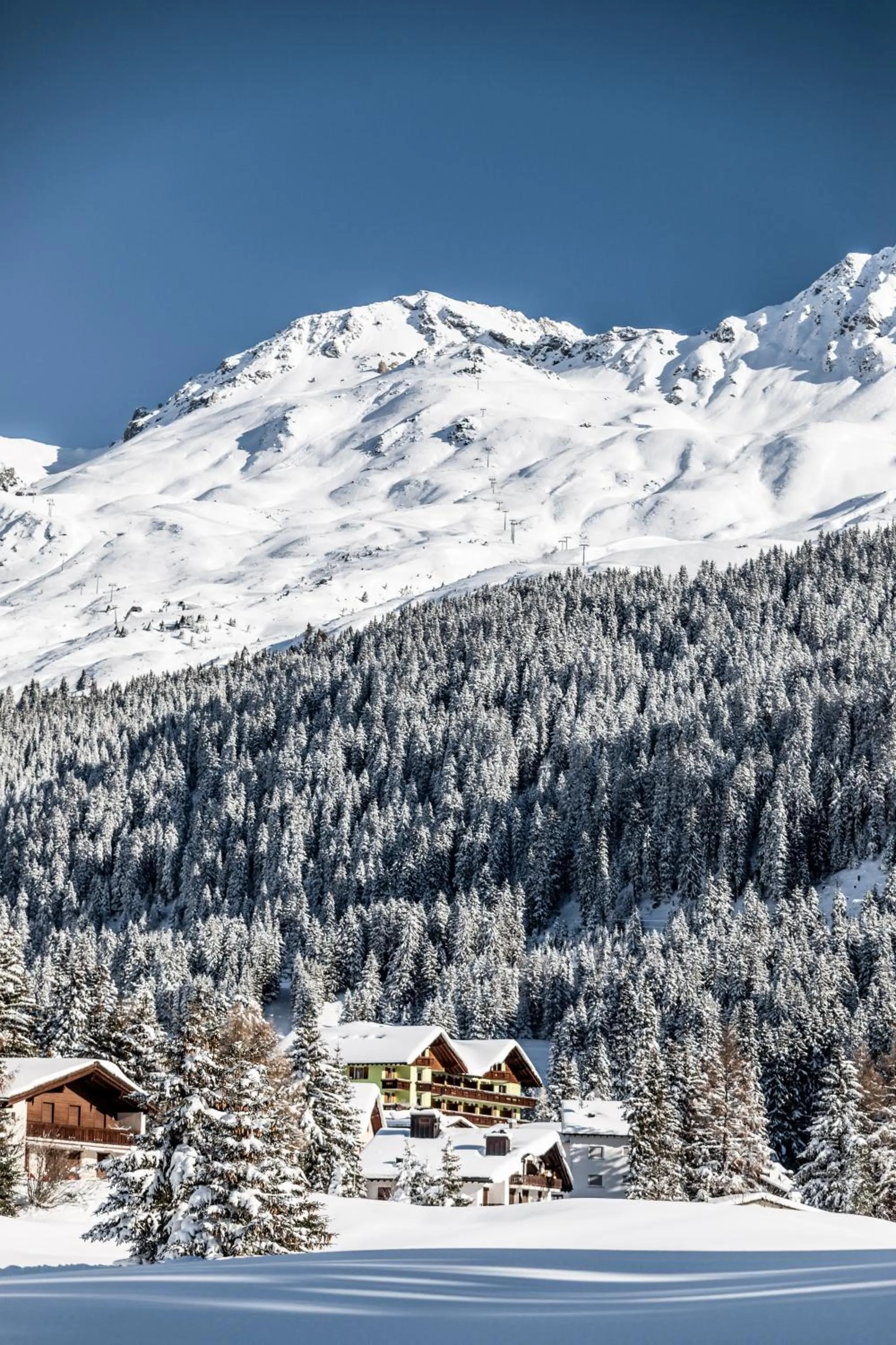 Winter in Hotel Waldhaus am See
