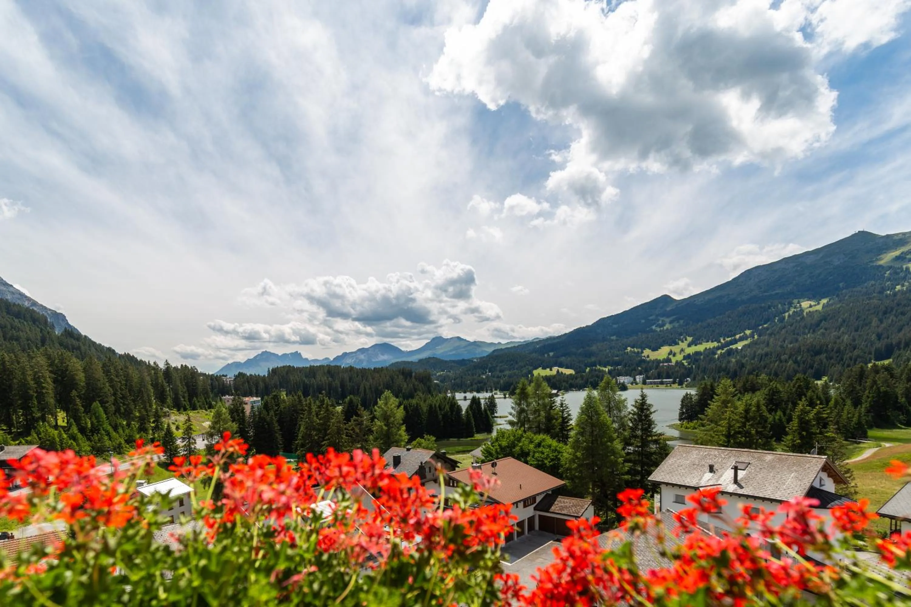 Natural landscape in Hotel Waldhaus am See