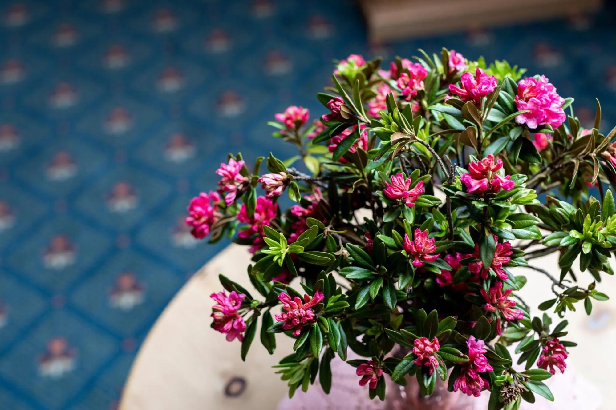 Decorative detail in Hotel Waldhaus am See