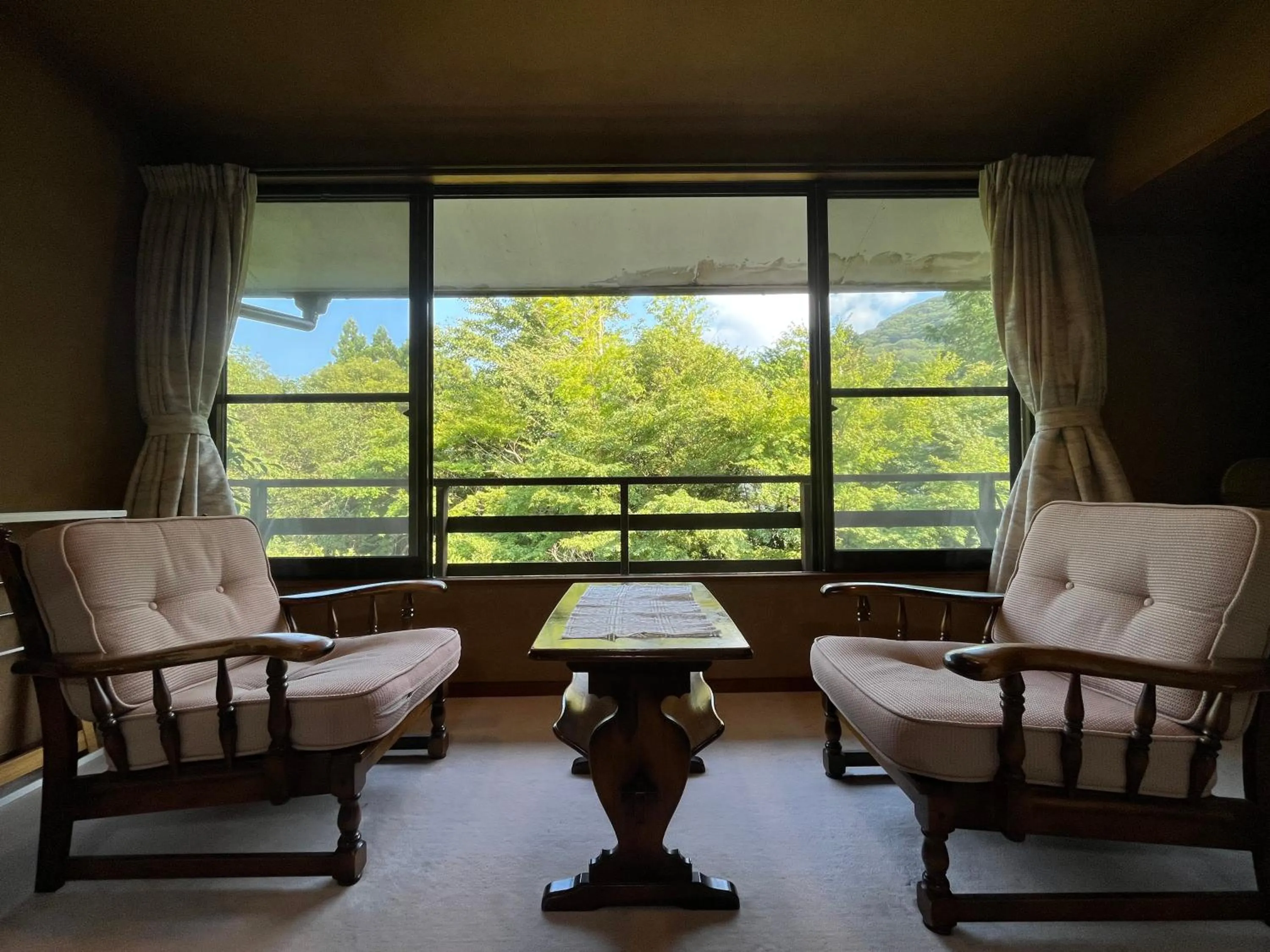 View (from property/room) in Mitake