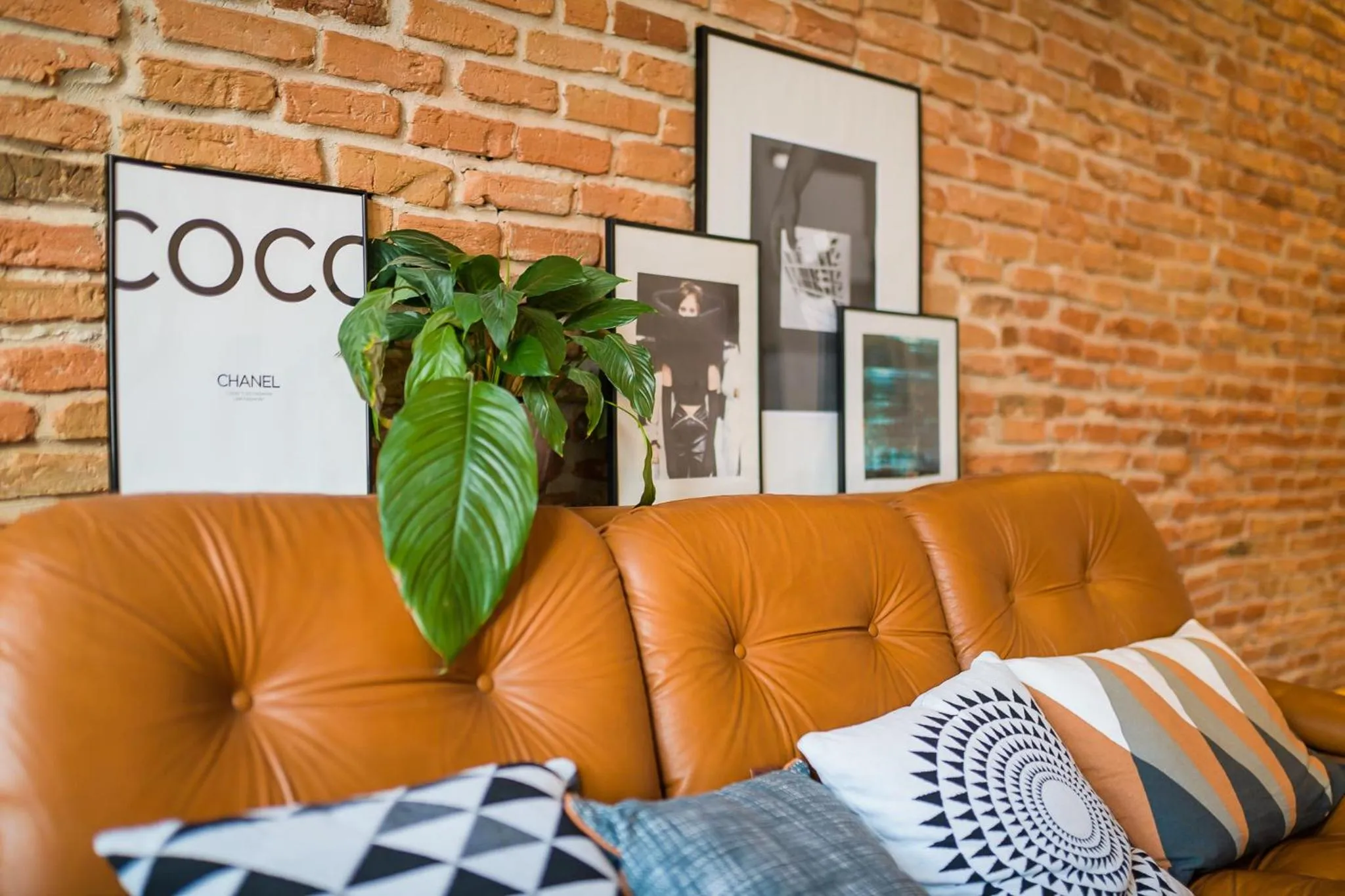 Living room in Camino Home 2