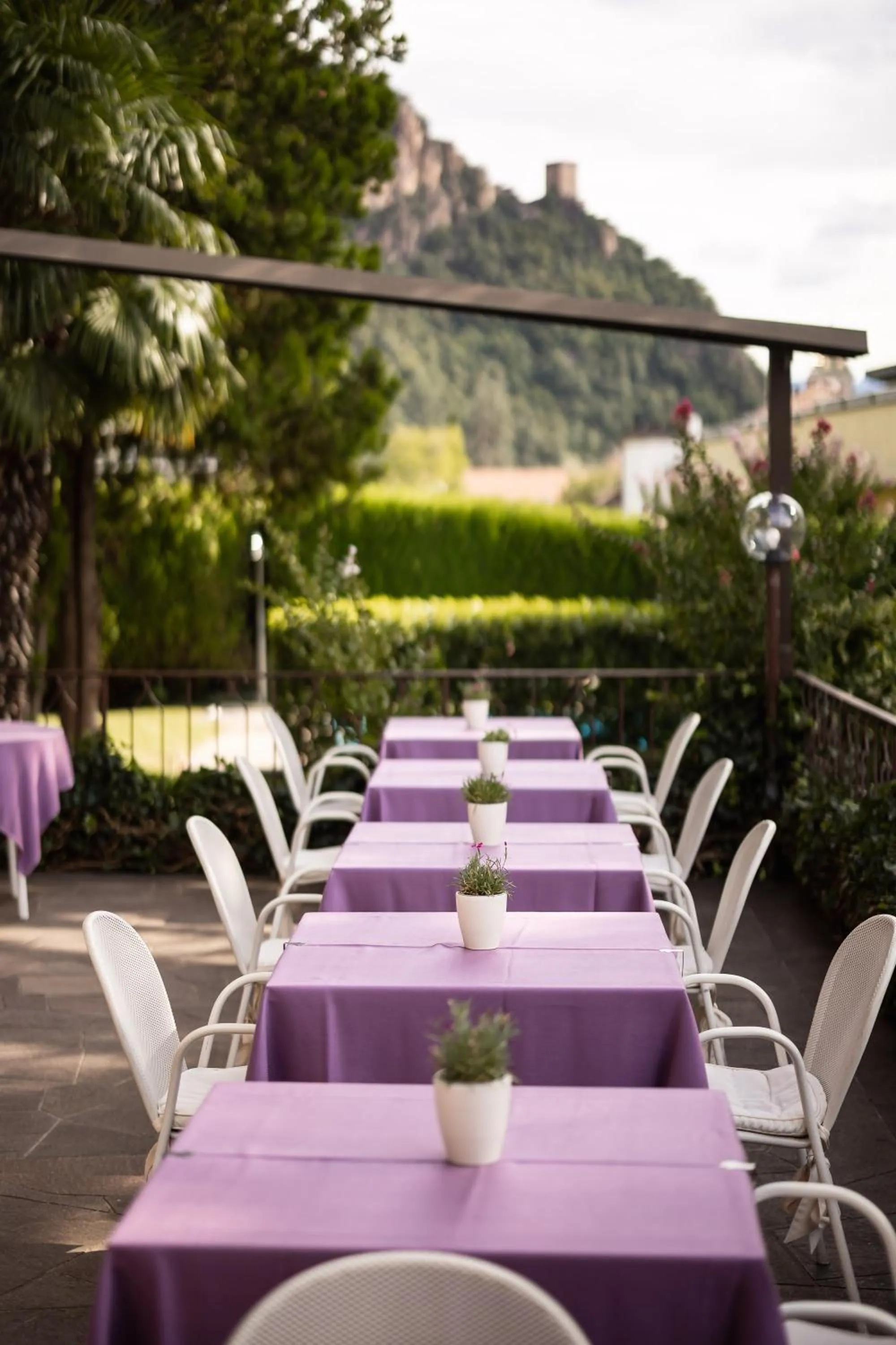 Garden in Weingarten Terlan - Rooms & Breakfast