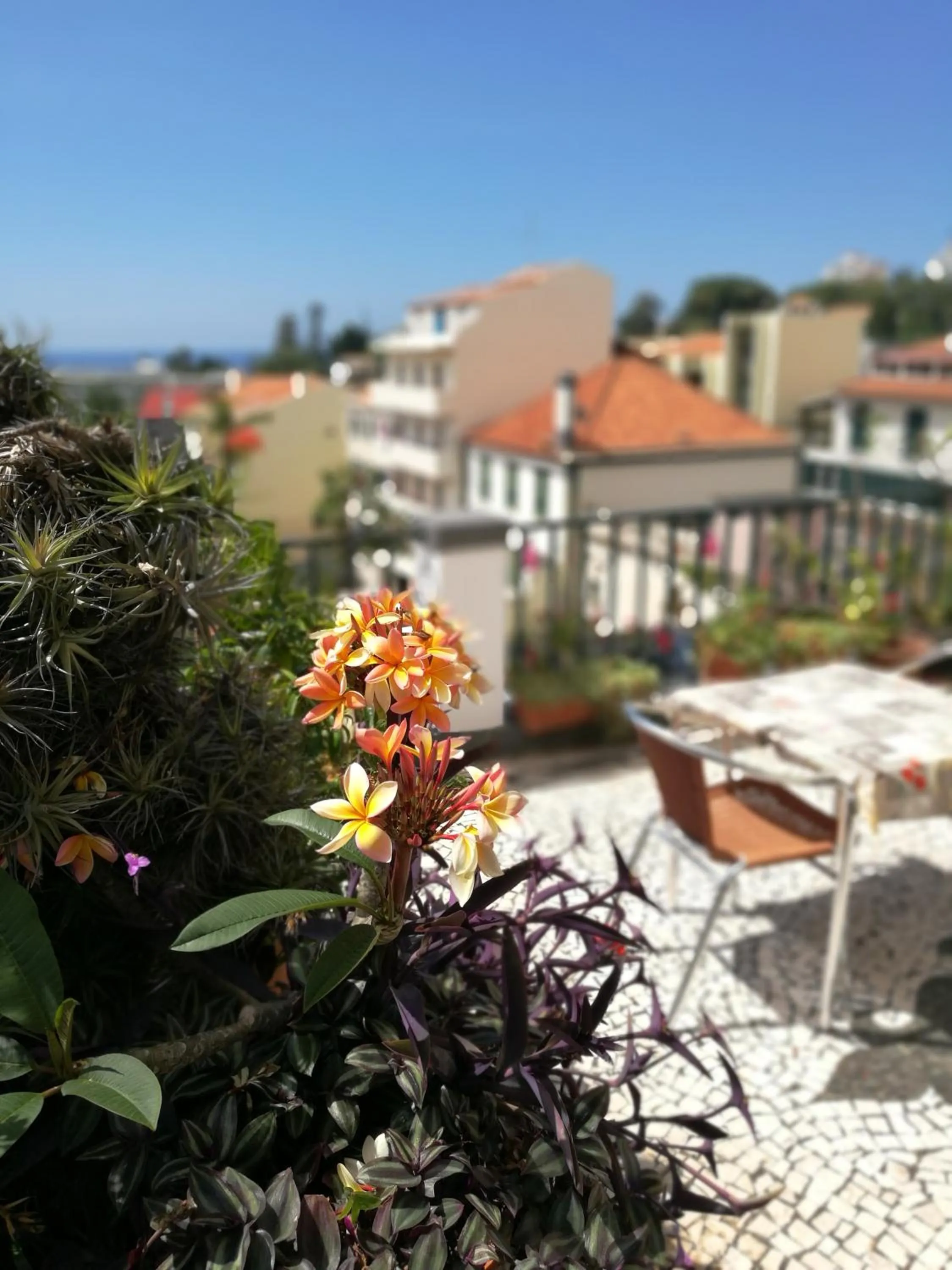 Pensao Residencial Vila Teresinha