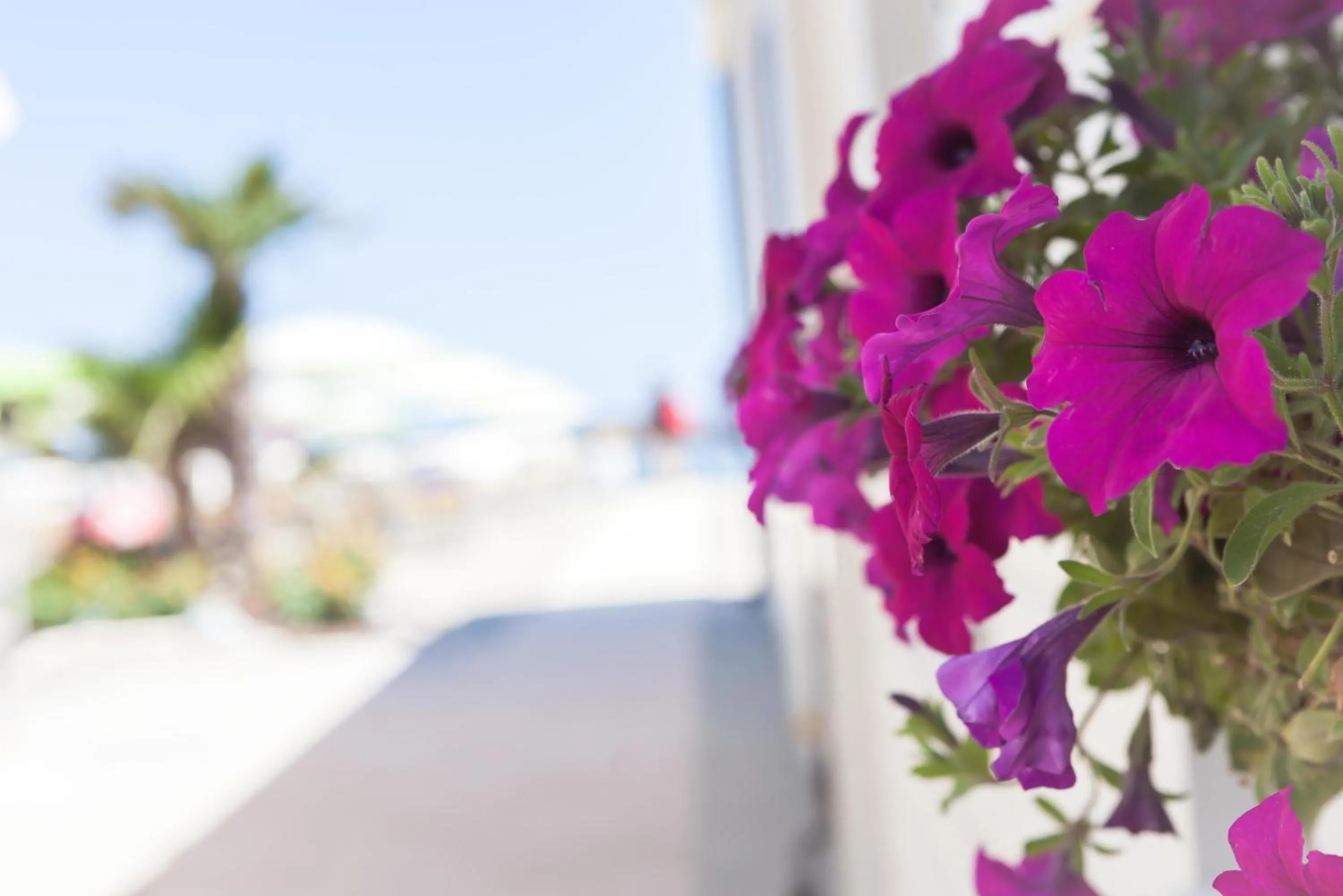 Beach in Hotel San Francisco