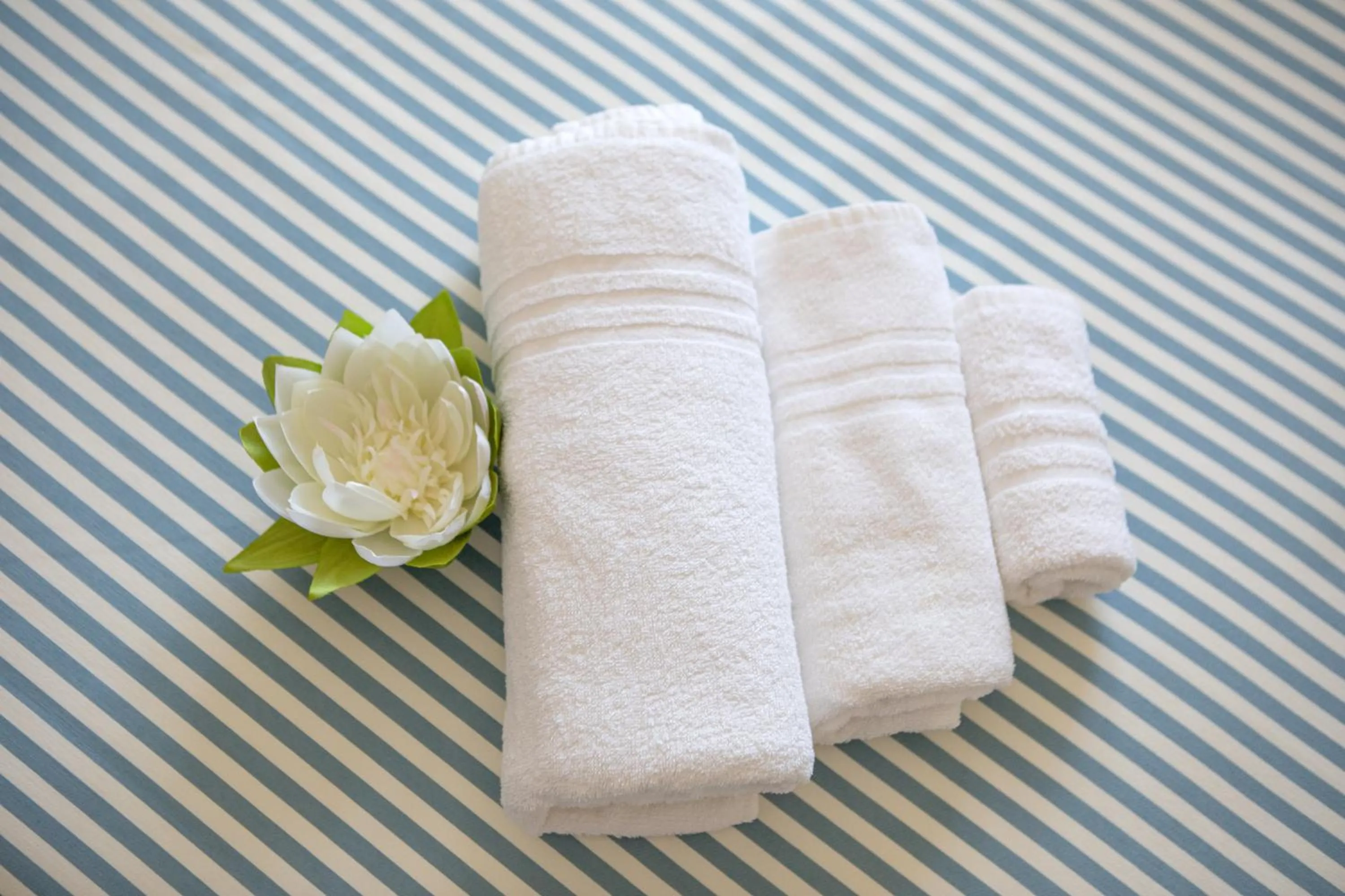 Decorative detail in Hotel San Francisco