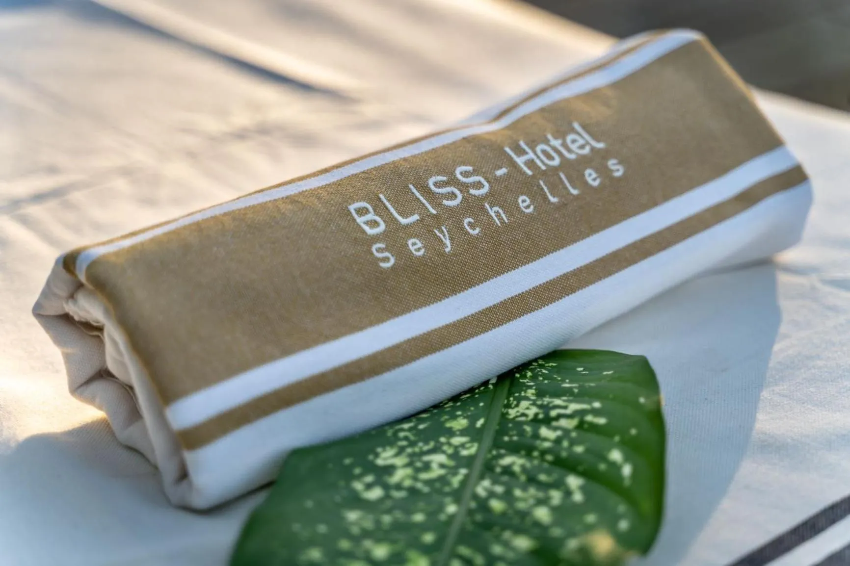 Swimming pool in Bliss Hotel Praslin