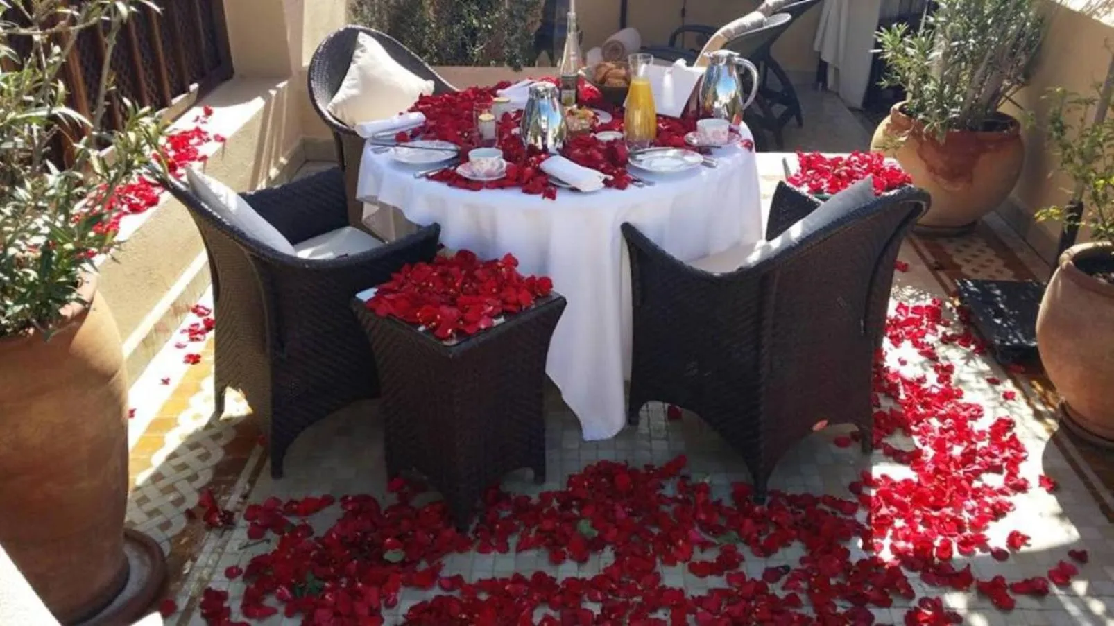 People in Riad ILayka