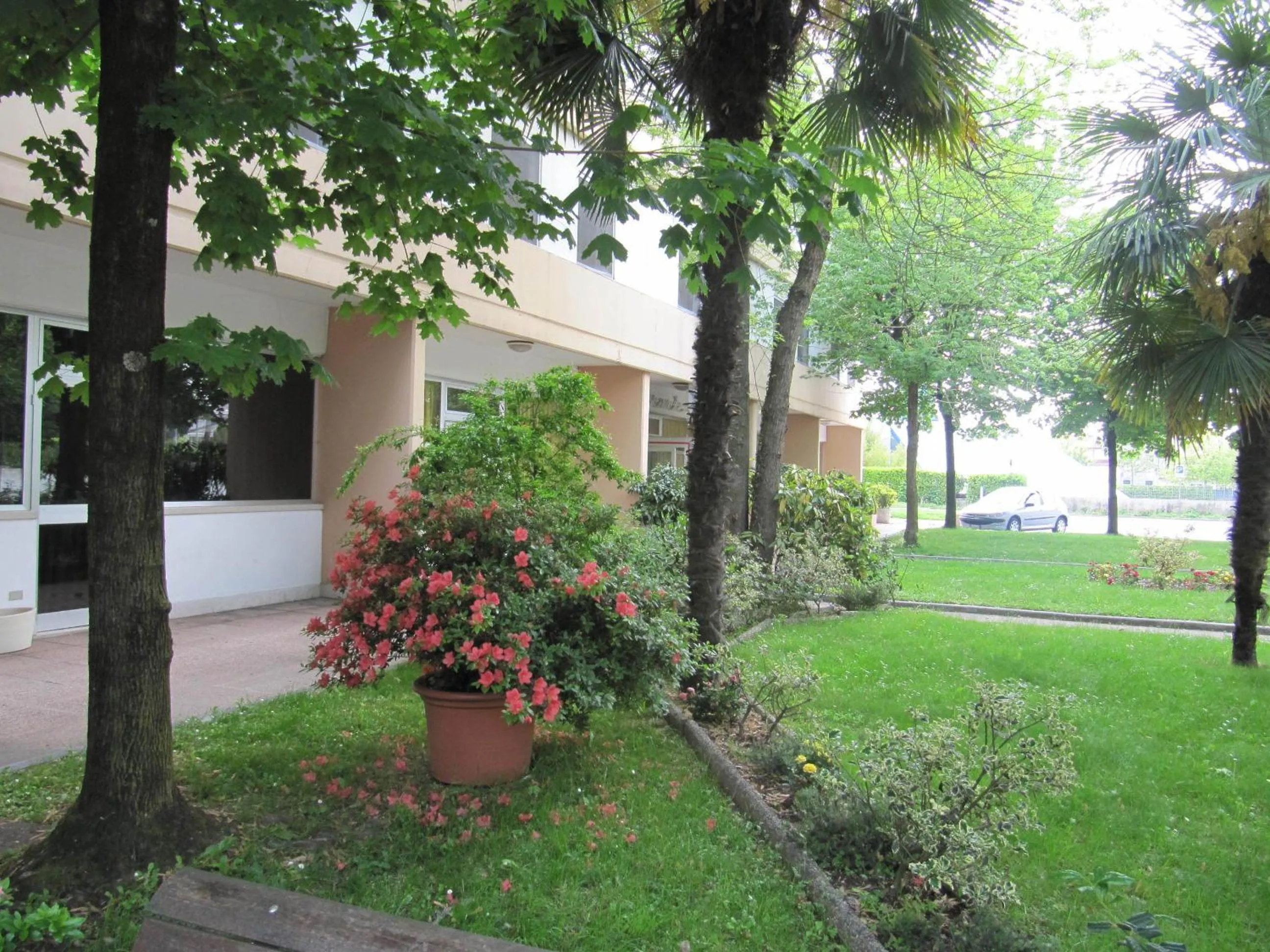 Garden in Hotel Garden