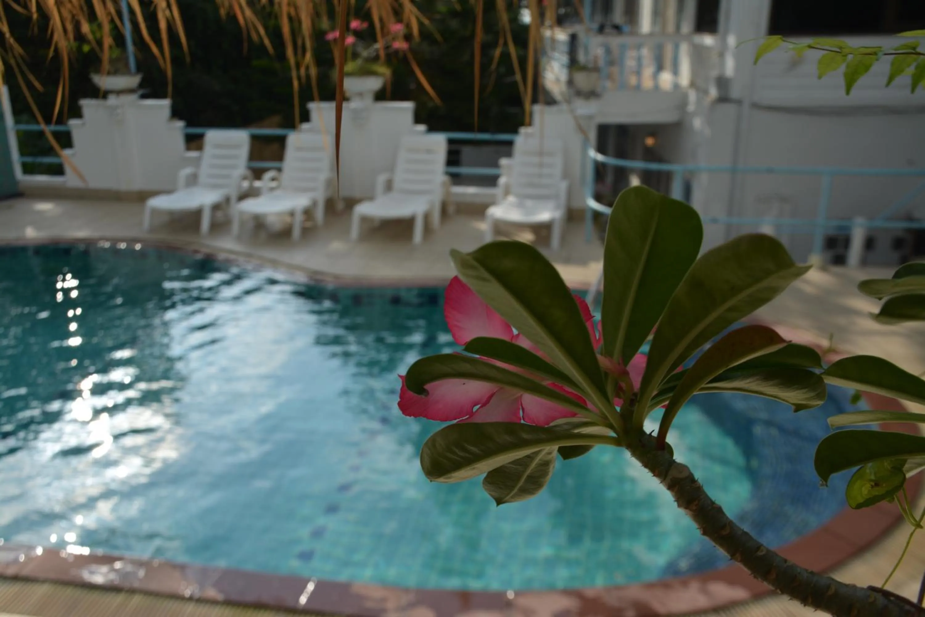 Swimming pool in Residy Retreat x Baan Suan Villa