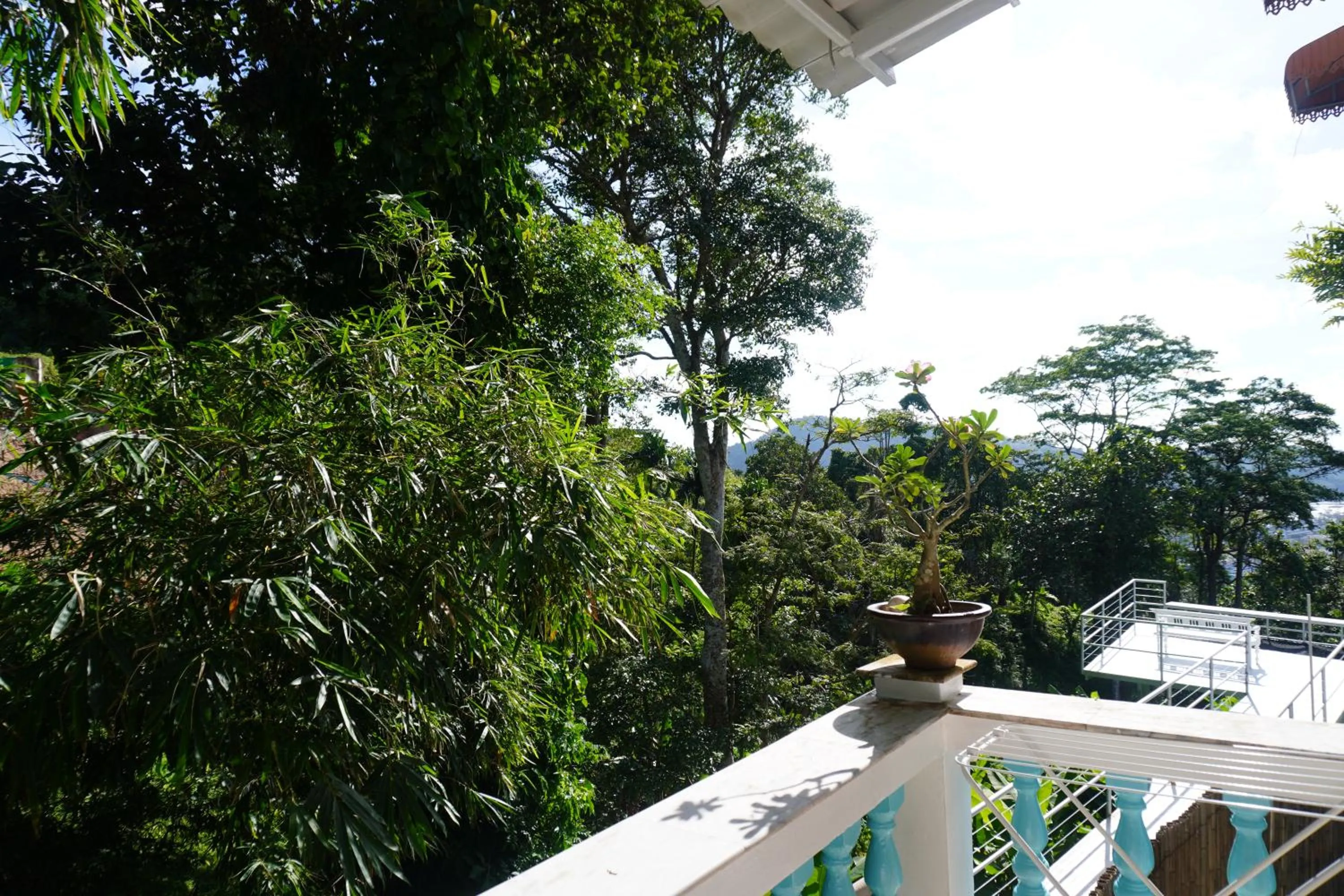 Day in Residy Retreat x Baan Suan Villa