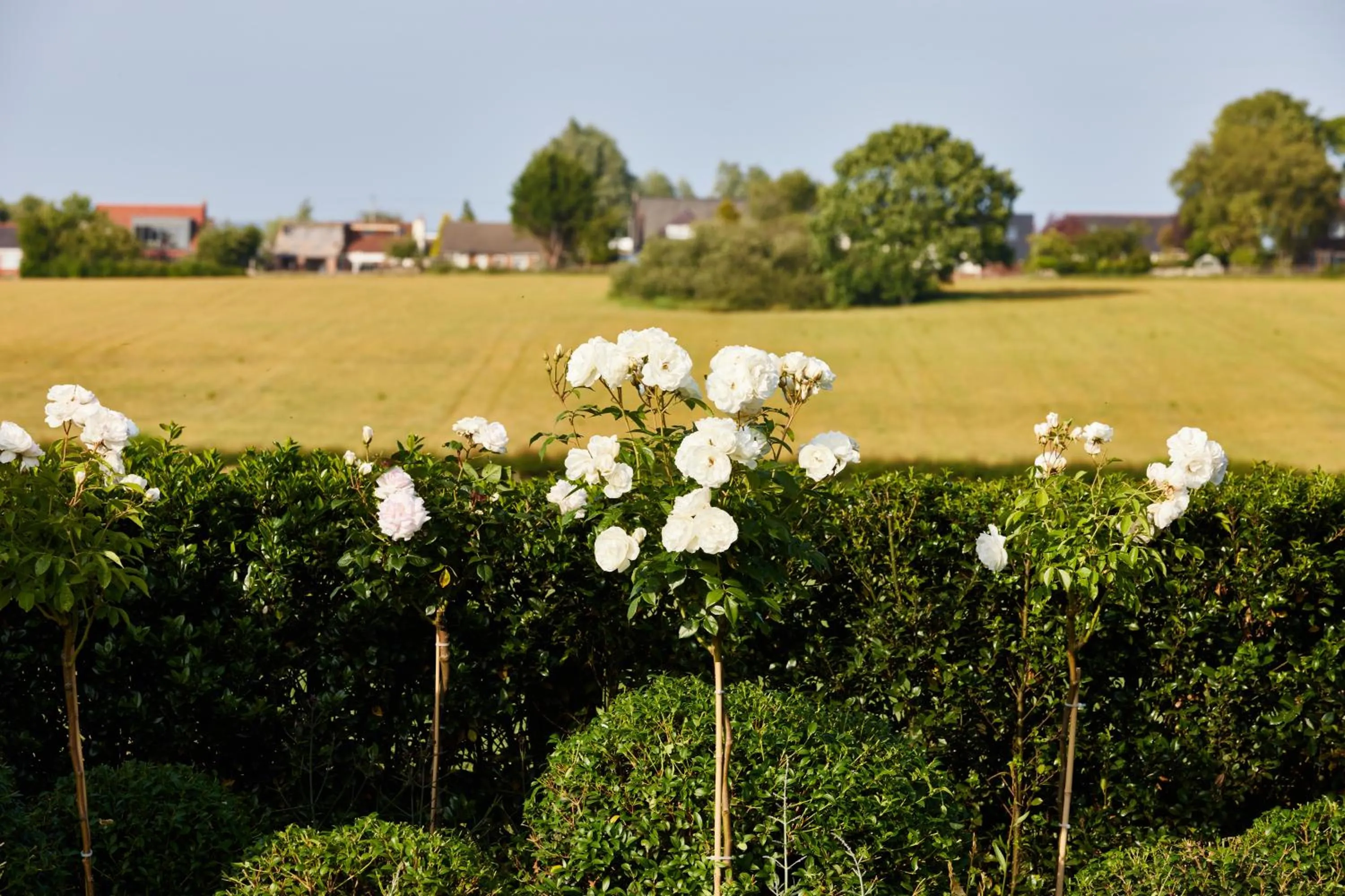 View (from property/room) in Wrightington Hotel, Health Club & Spa