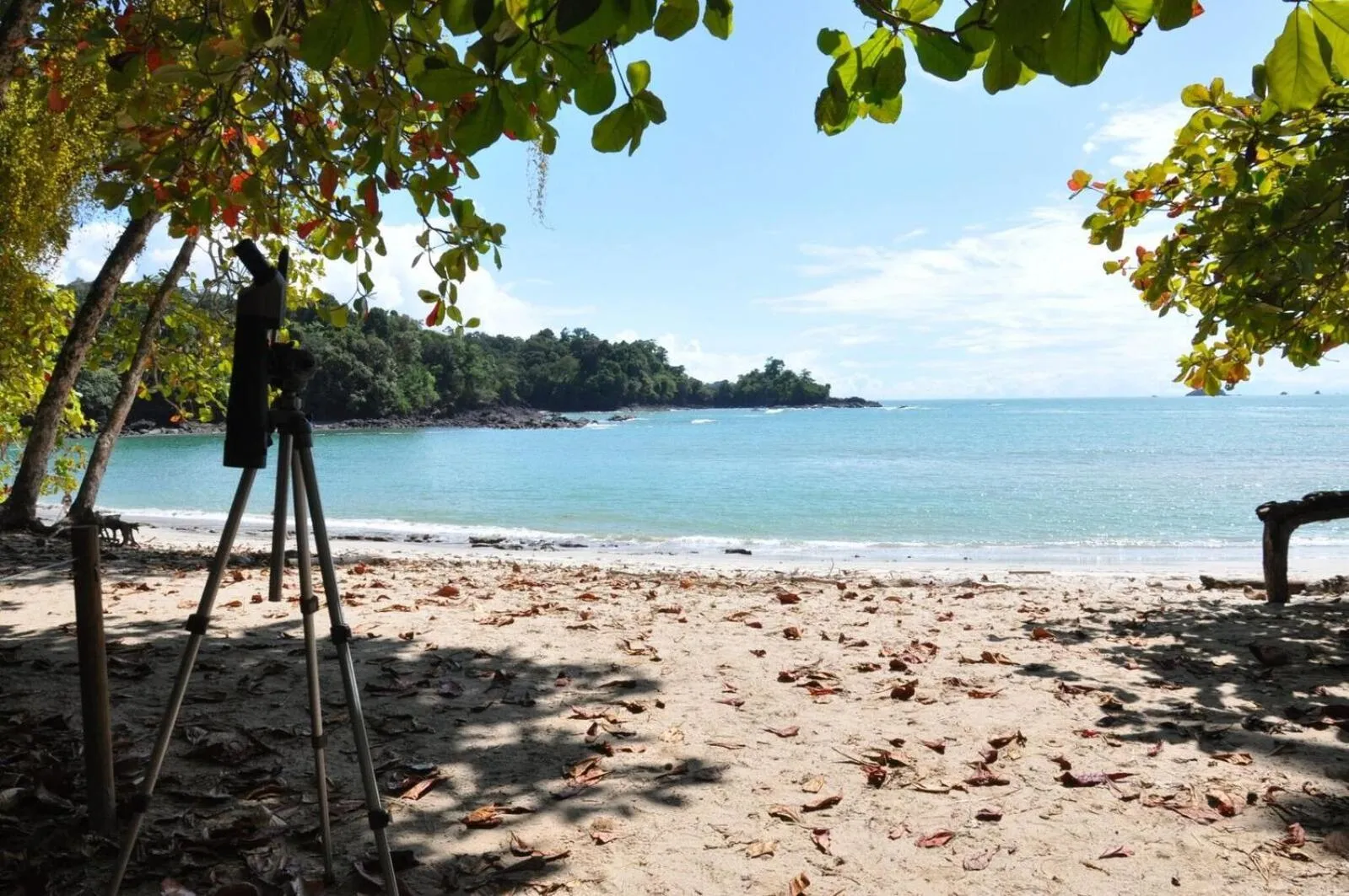 Beach in Shana by the Beach Manuel Antonio