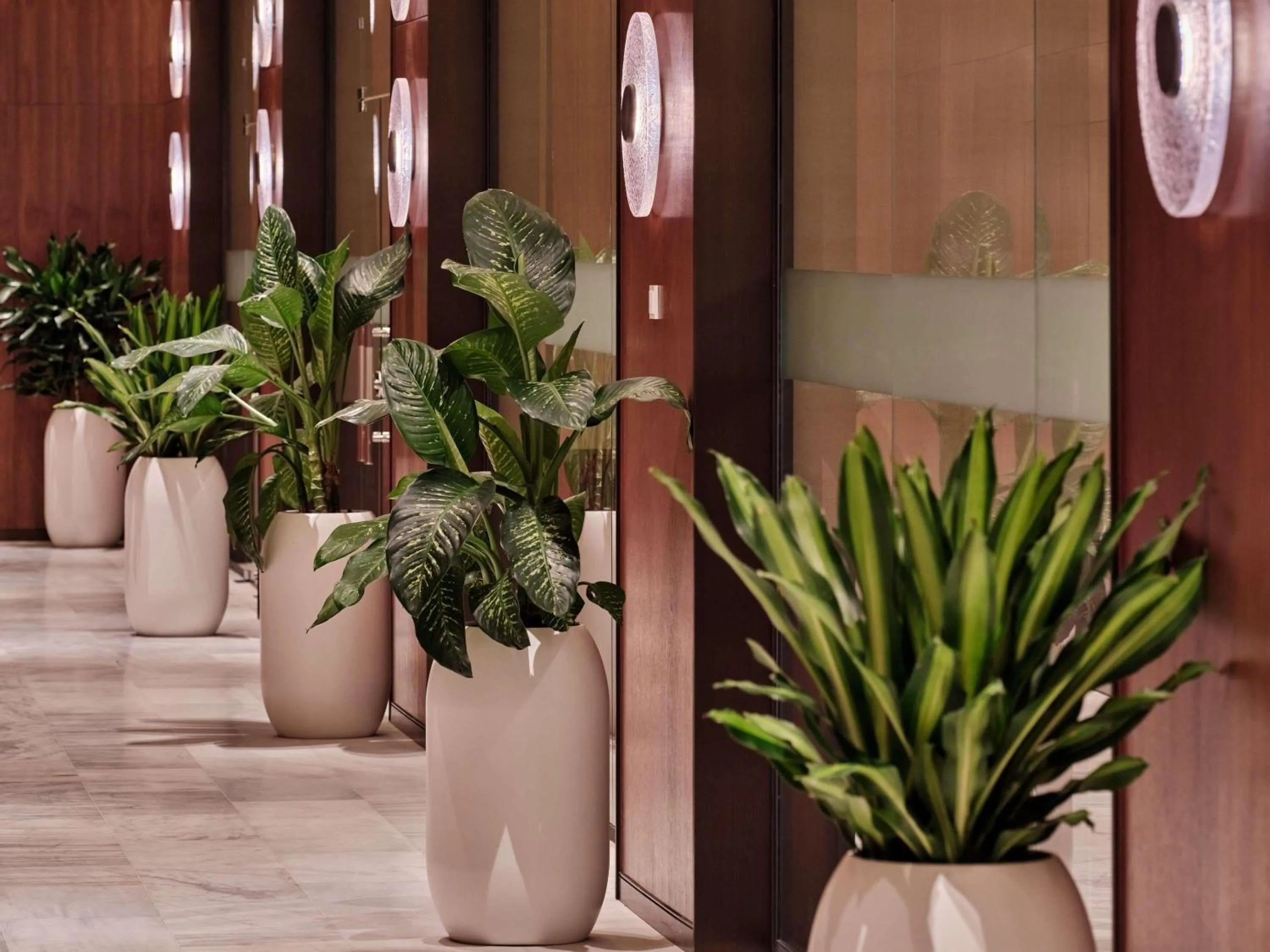 Fitness centre/facilities in Swissotel Tashkent