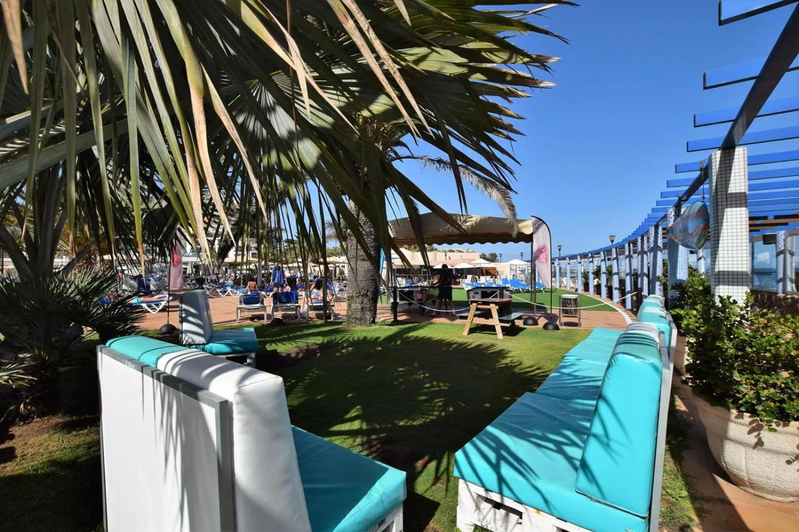 Area and facilities in Apartamentos Playa Feliz