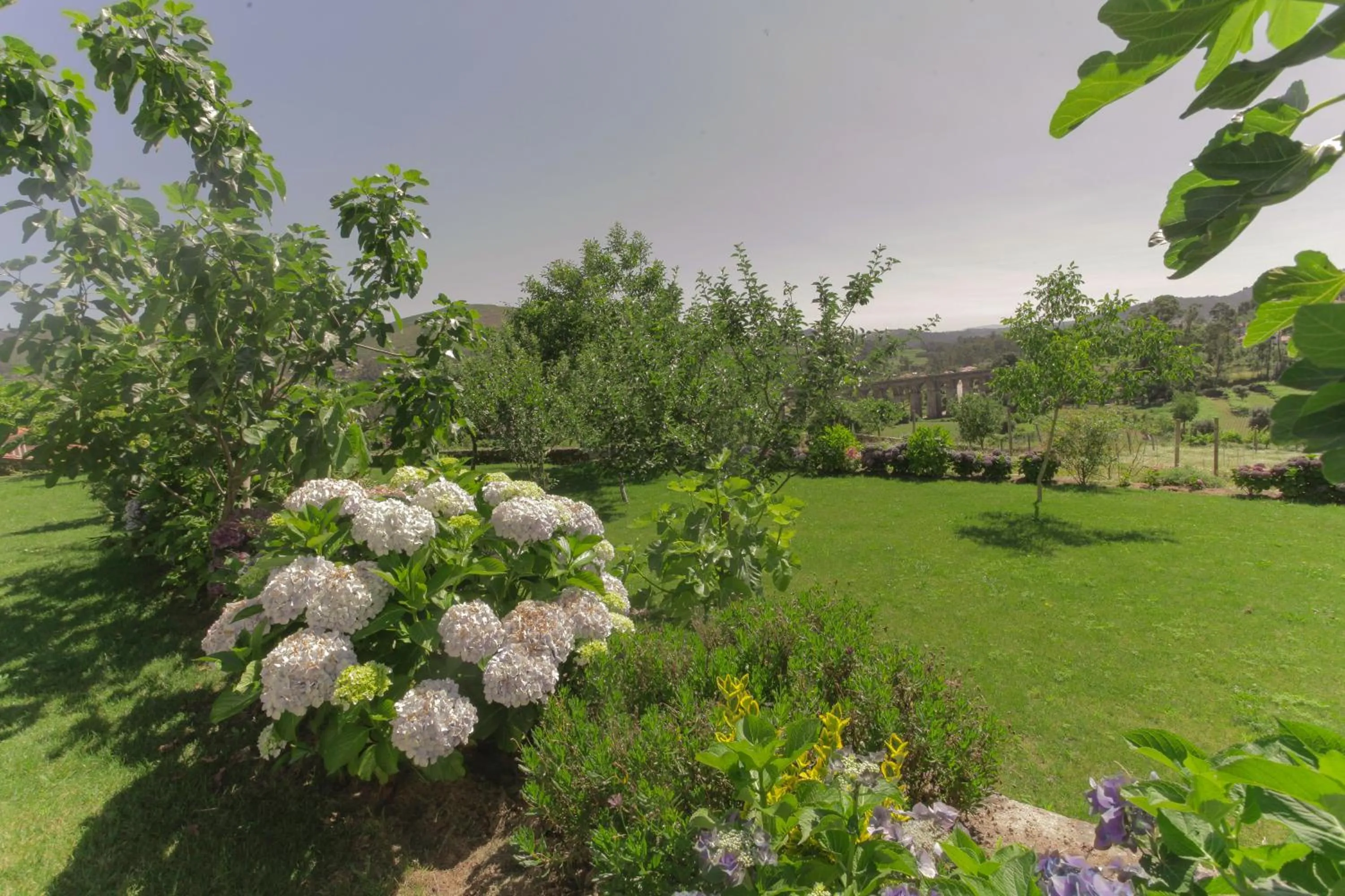 Day in Quinta de Malta