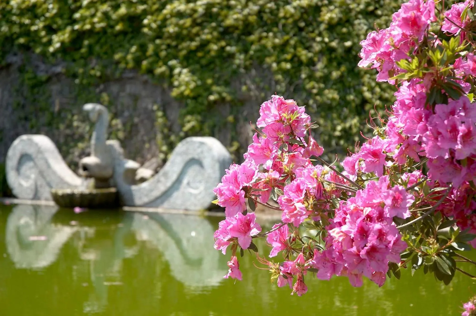 Day in Quinta de Malta