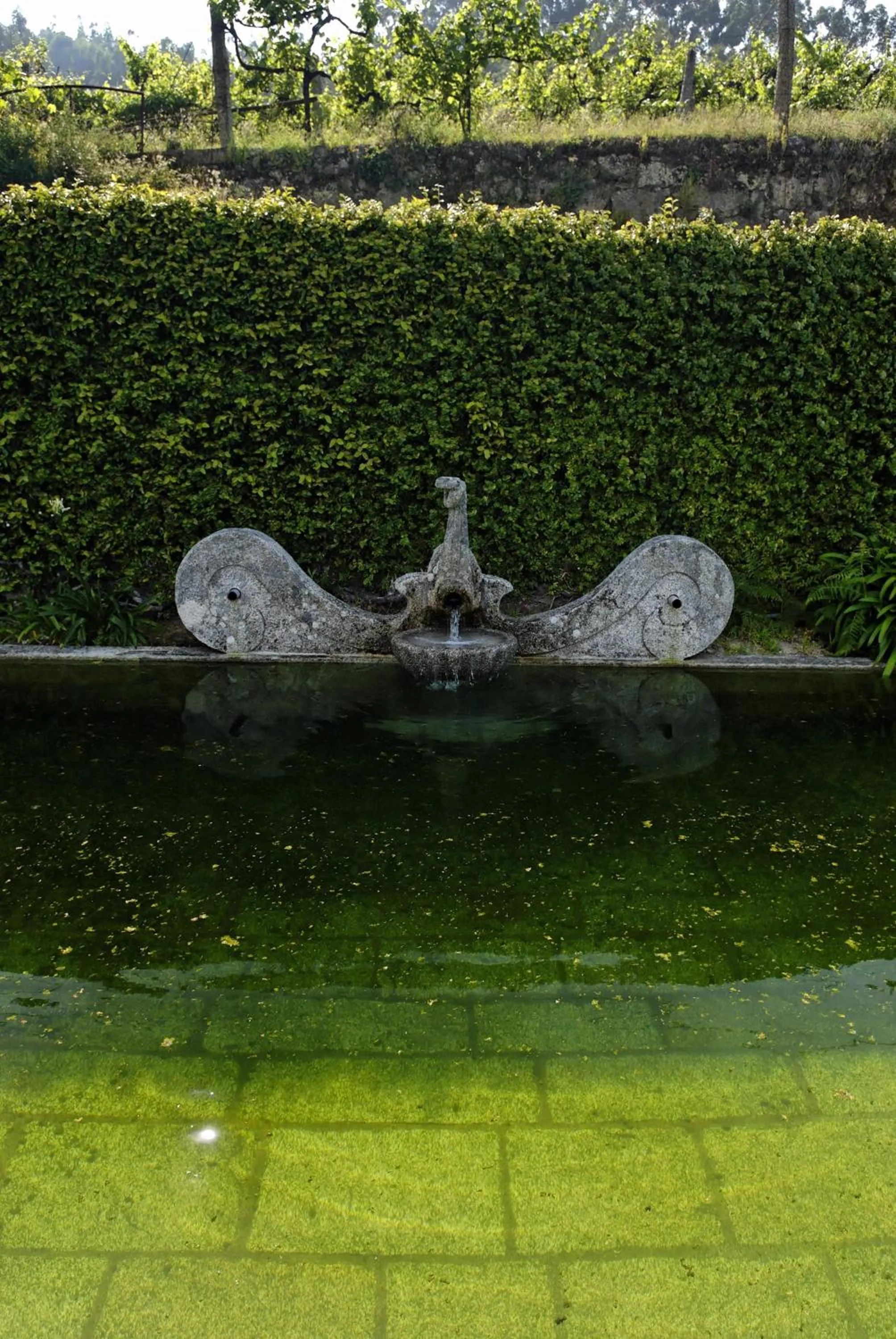 Garden in Quinta de Malta