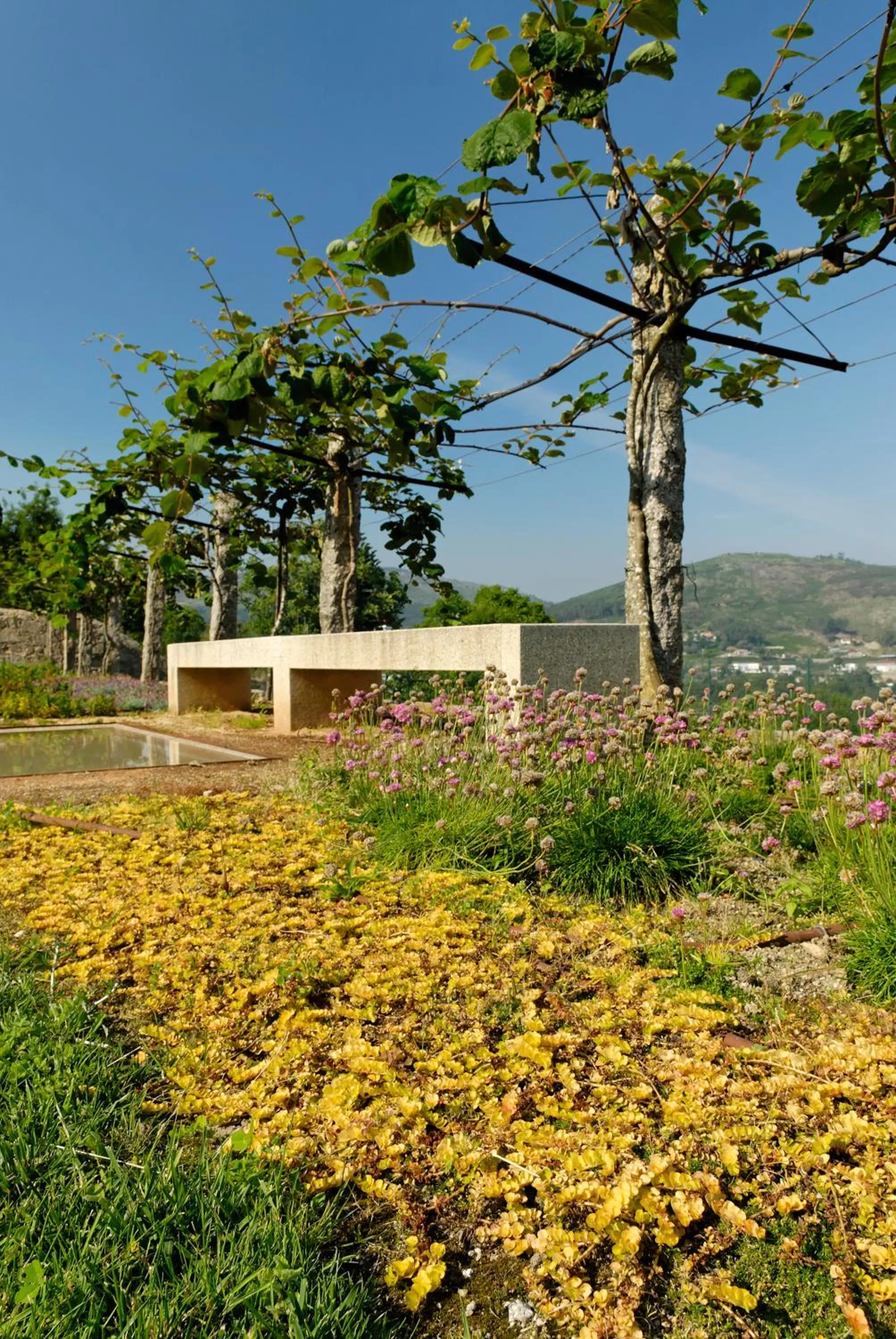 Day in Quinta de Malta