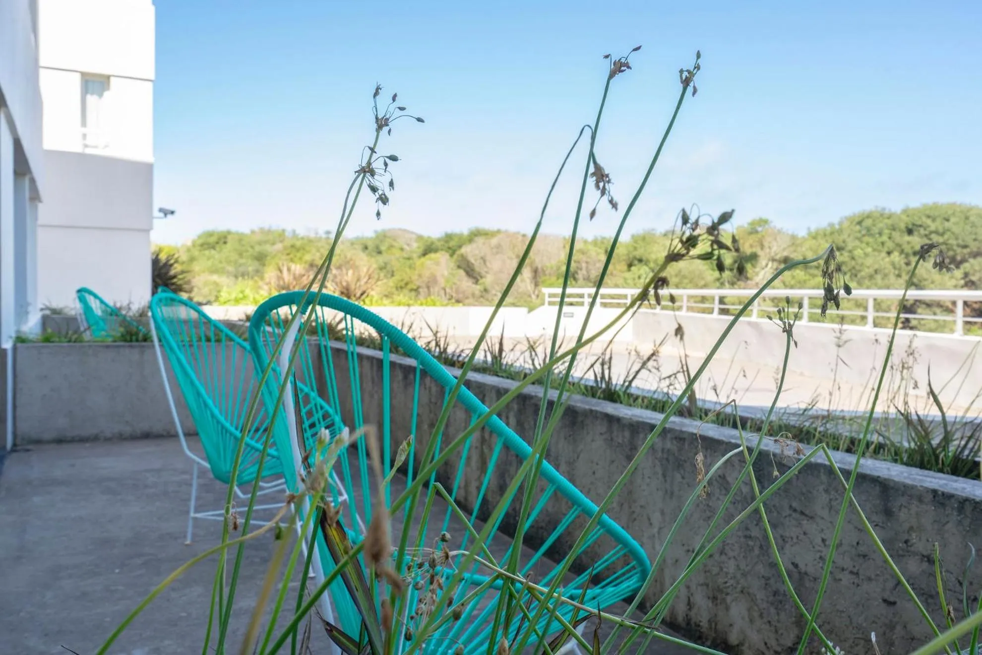 Natural landscape in Valeria Playa Apart