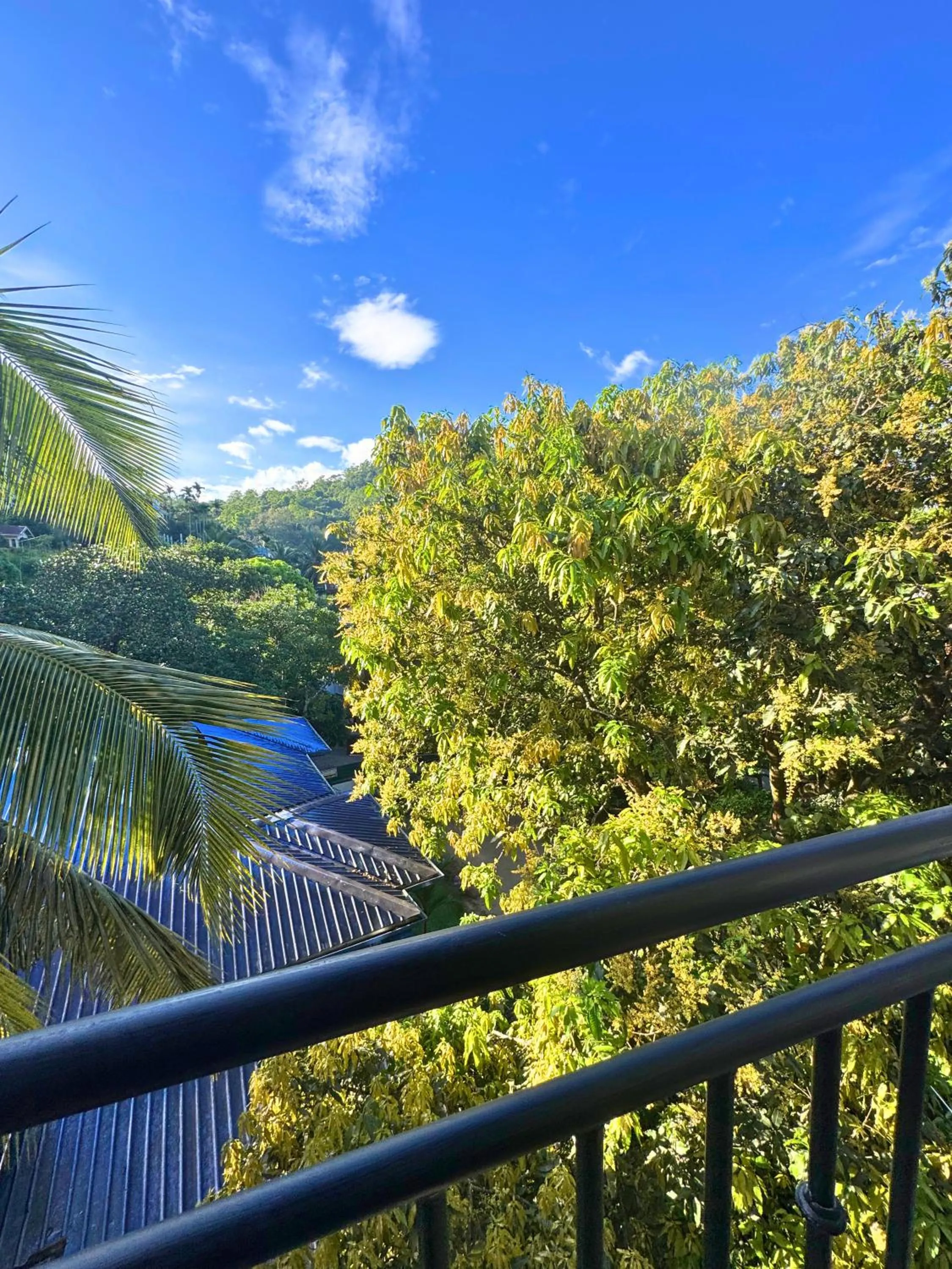 Spring in Queens mount