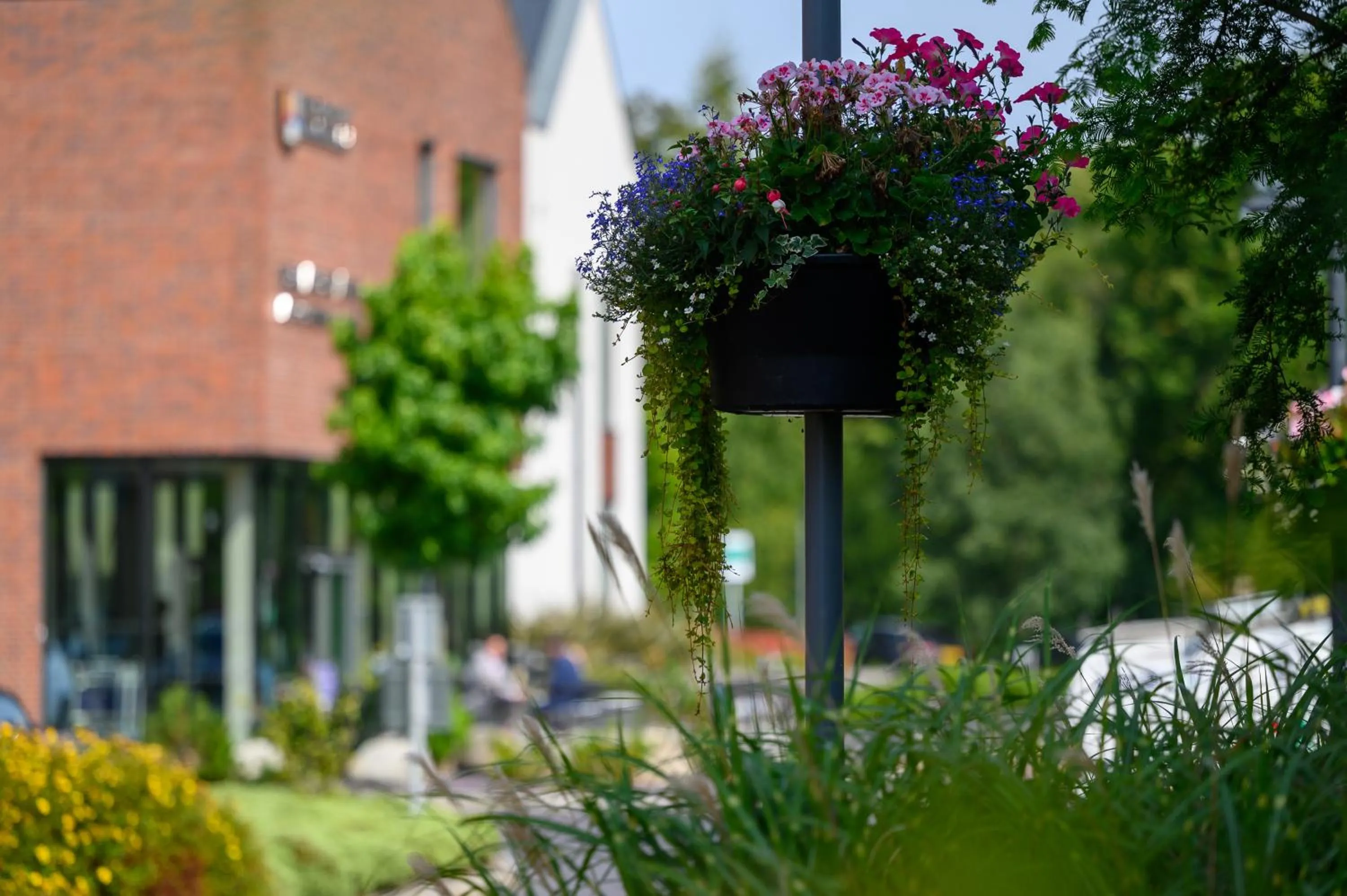 Day in Edgbaston Park Hotel Birmingham