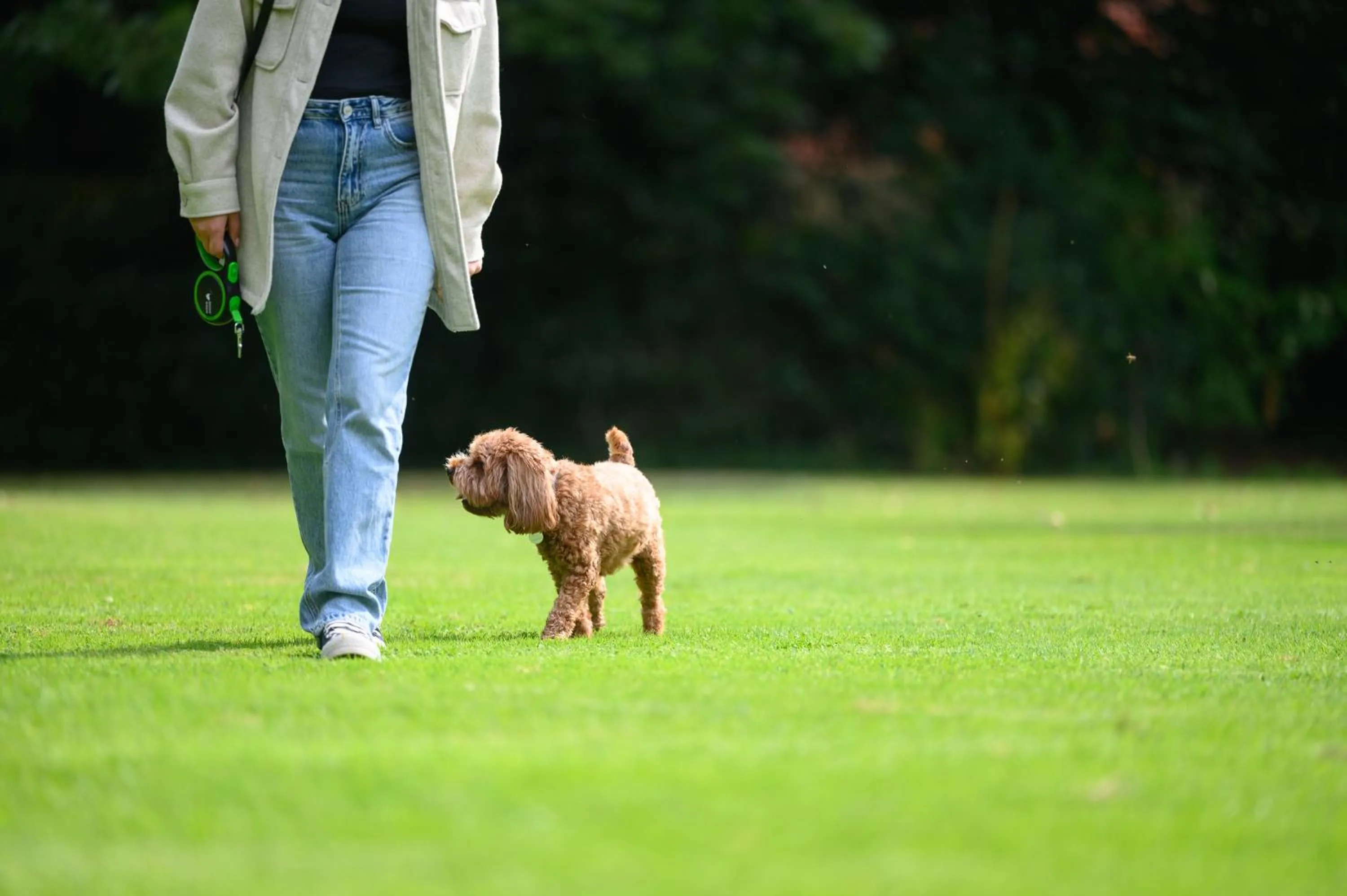Day in Edgbaston Park Hotel Birmingham