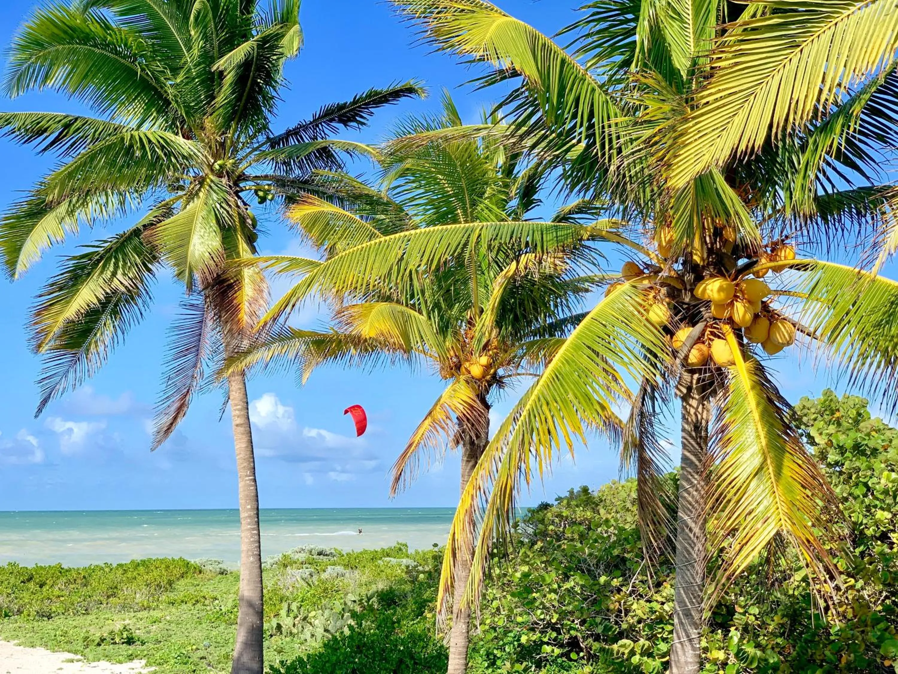 Sports in LunArena Barefoot Comfort