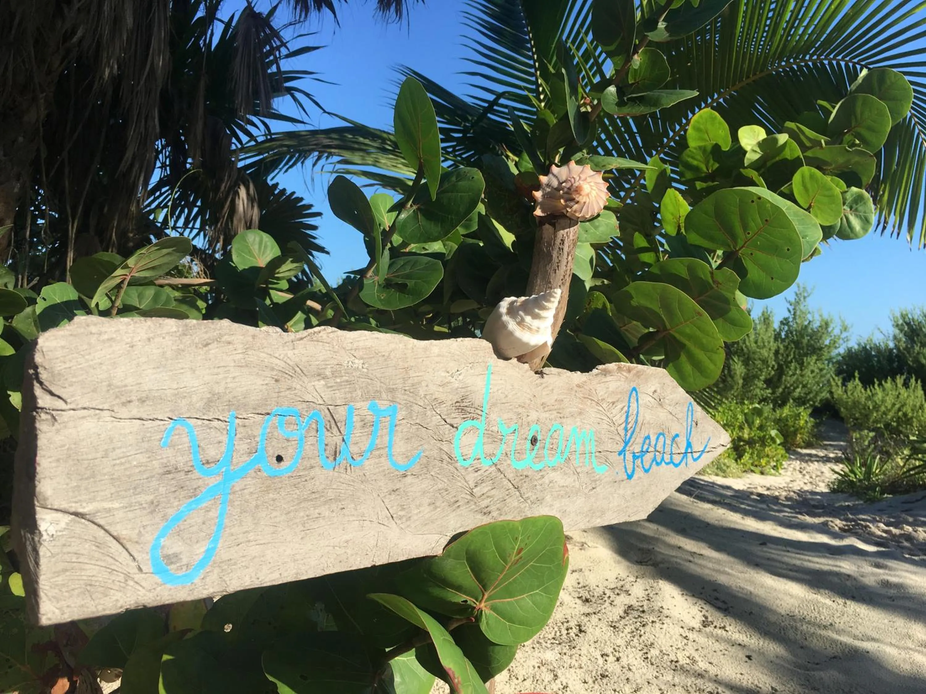 Beach in LunArena Barefoot Comfort