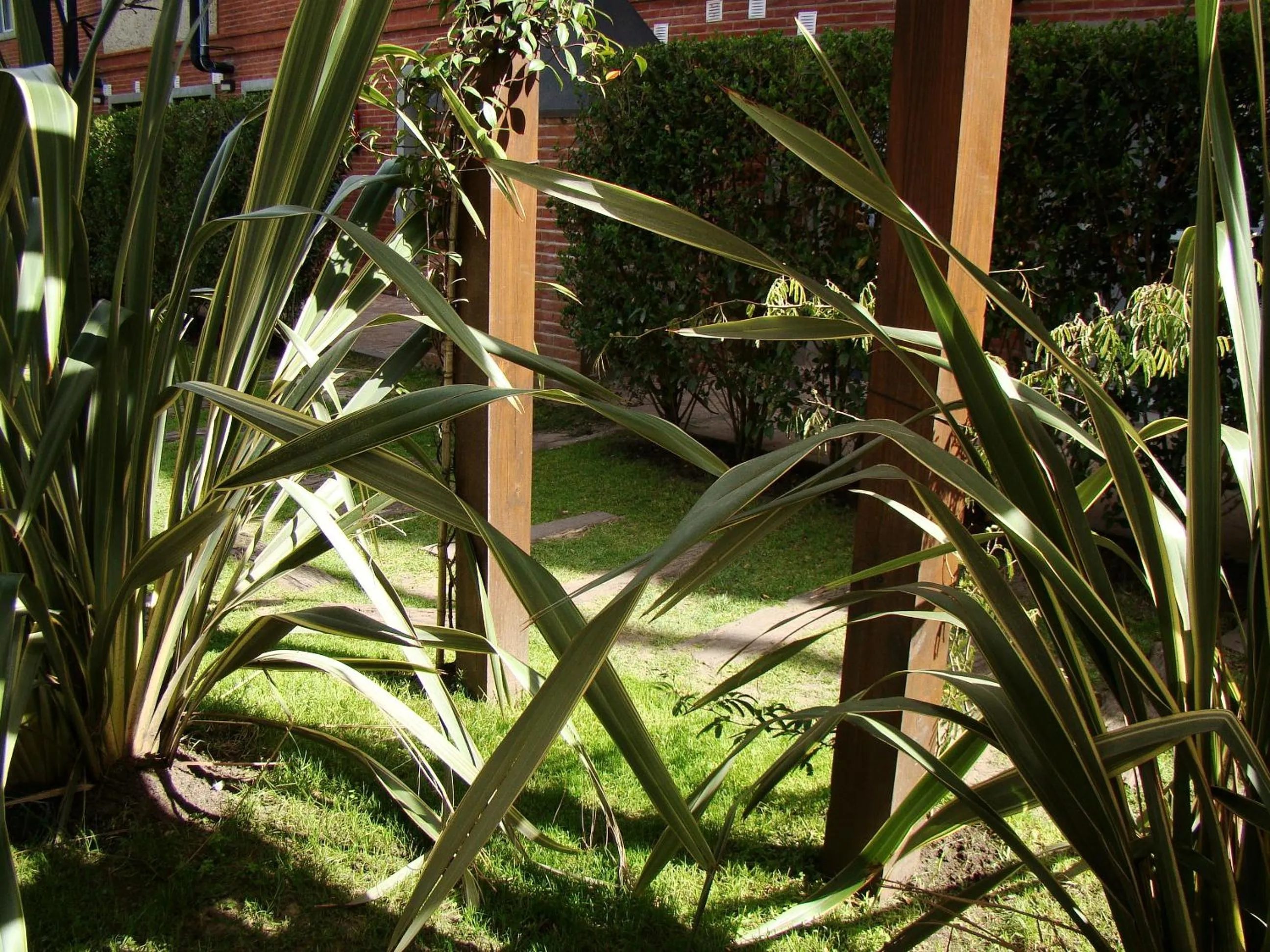 Property building in Valeria House Rental Suites